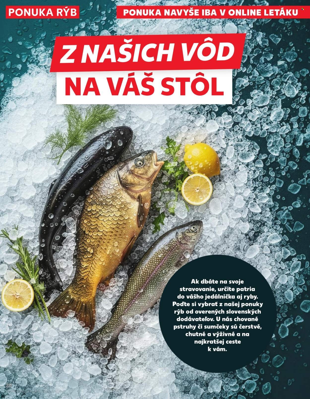 KAUFLAND leták - Od štvrtka 5.3.2026 (2026-03-05 - 2026-03-11) | 20