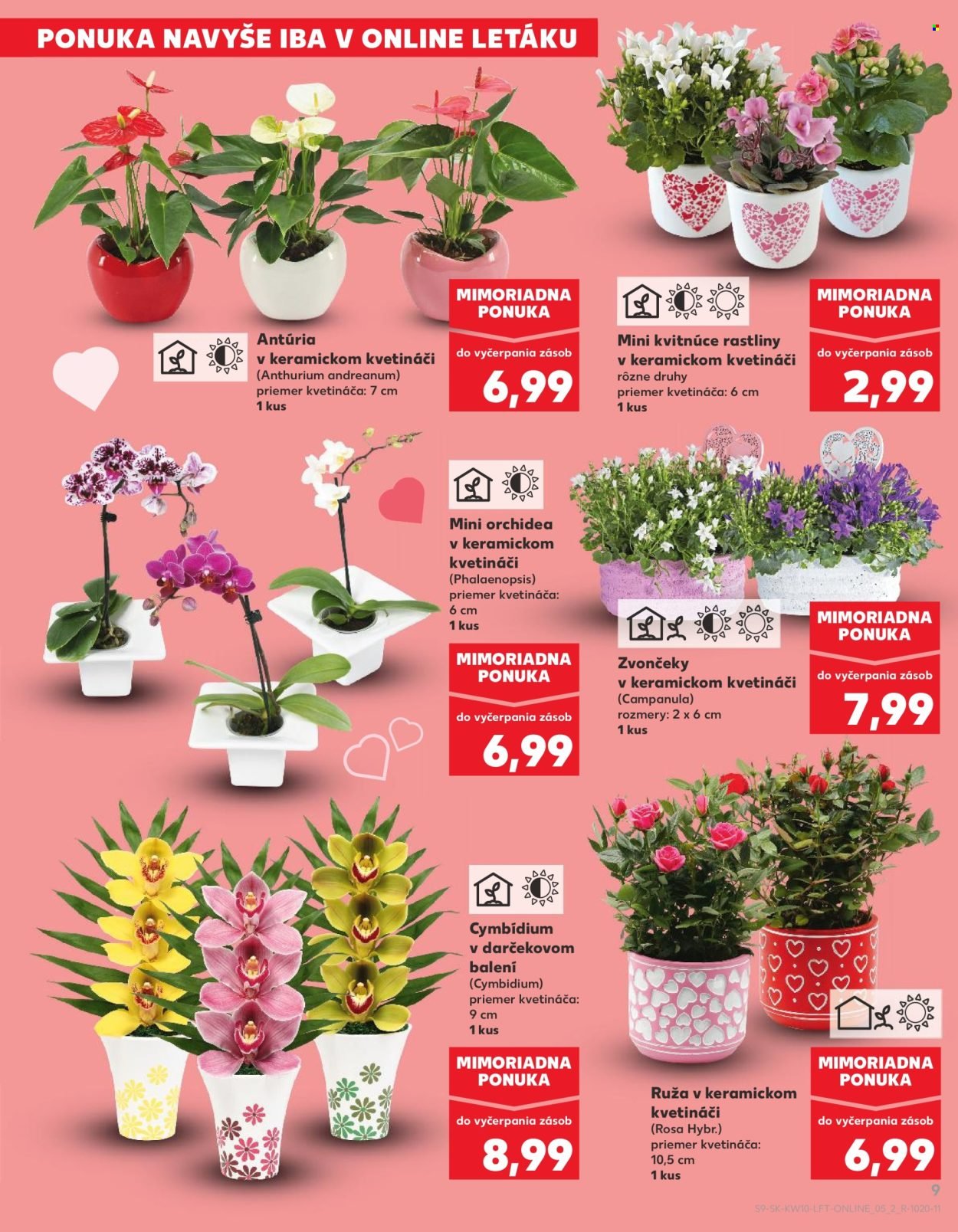 KAUFLAND leták - Od štvrtka 5.3.2026 (2026-03-05 - 2026-03-11) | 9