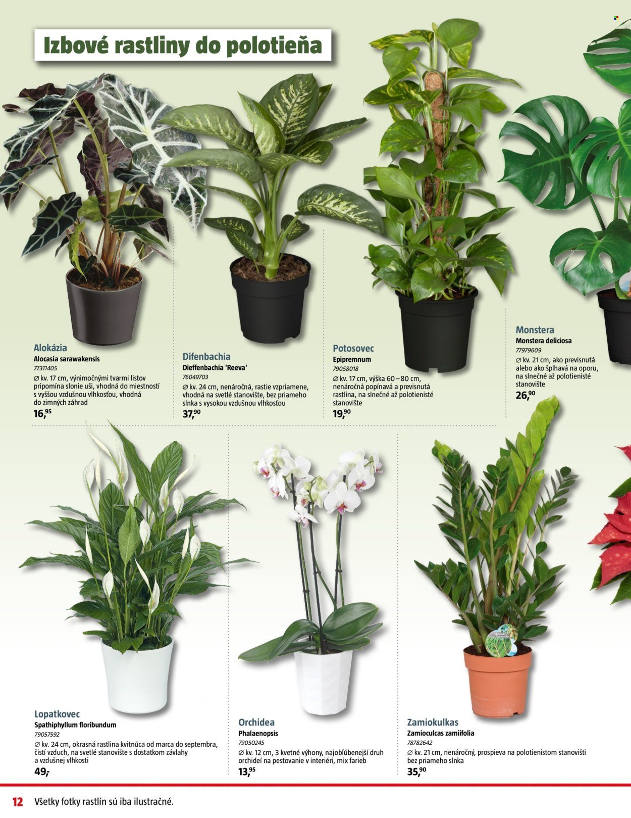 BAUHAUS leták - Od pondelka 8.12.2025 (2025-12-08 - 2025-12-31) | 12