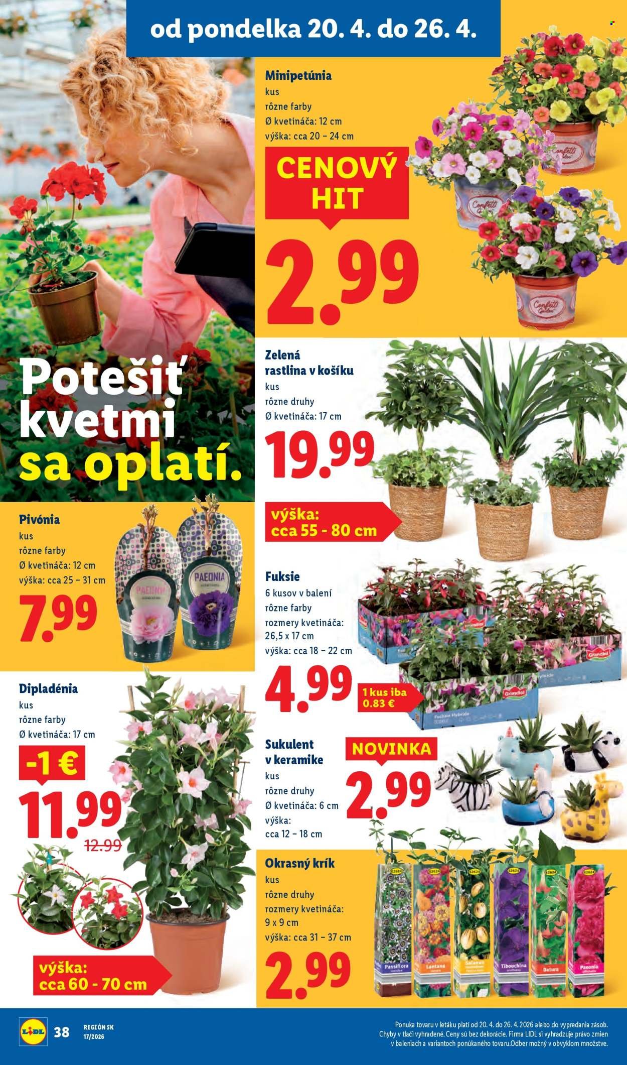 LIDL leták - Od pondelka 20.4.2026 (2026-04-20 - 2026-04-26) | 40