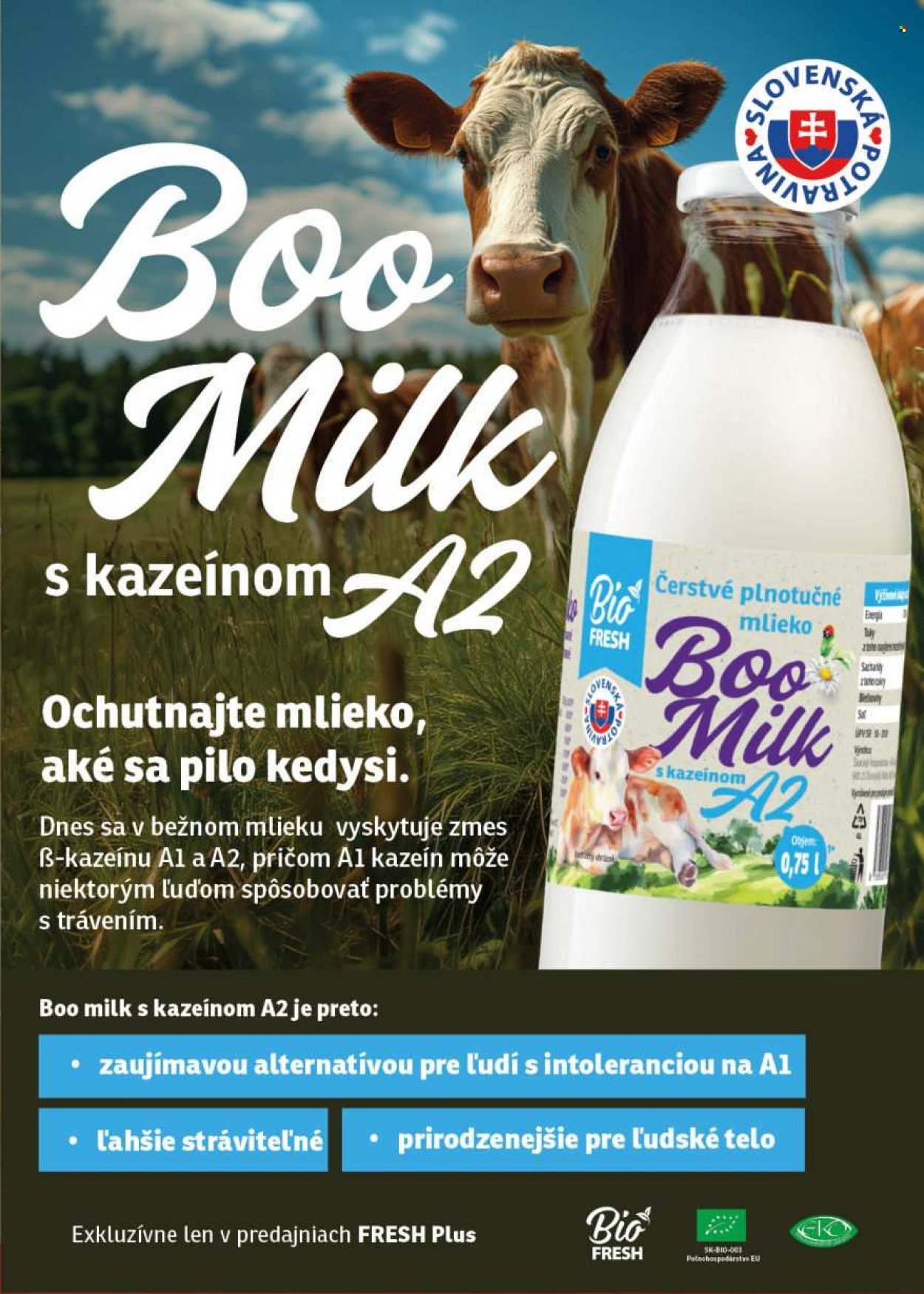 FRESH leták - Stredné a západné Slovensko (2025-11-20 - 2025-12-03) | 19