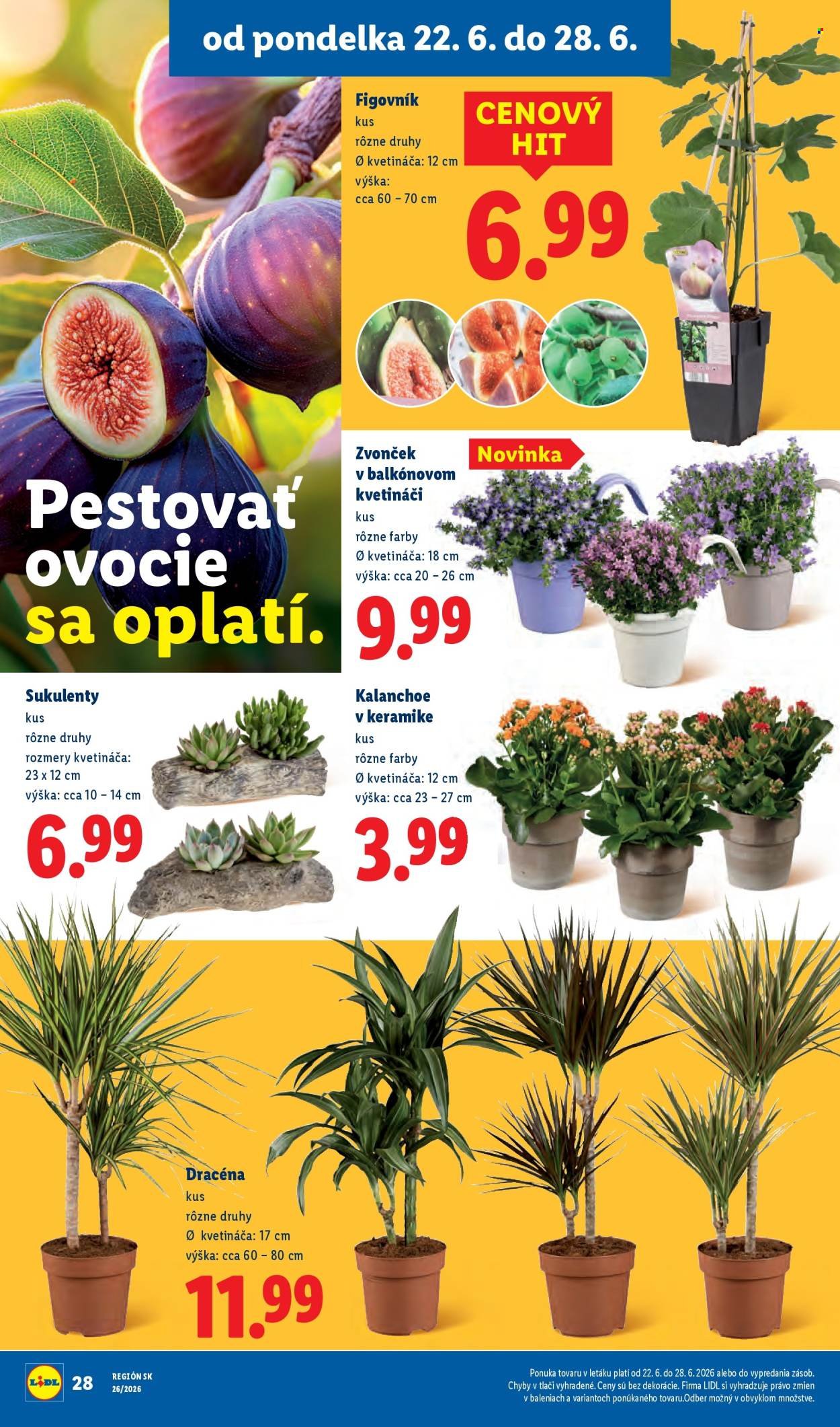 LIDL leták - Od pondelka 22.6.2026