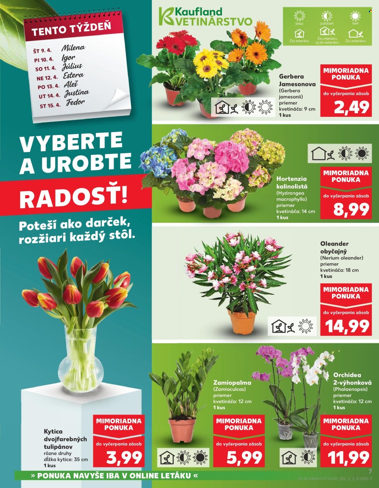 KAUFLAND leták - Od štvrtka 9.4.2026 (2026-04-09 - 2026-04-15) | 7