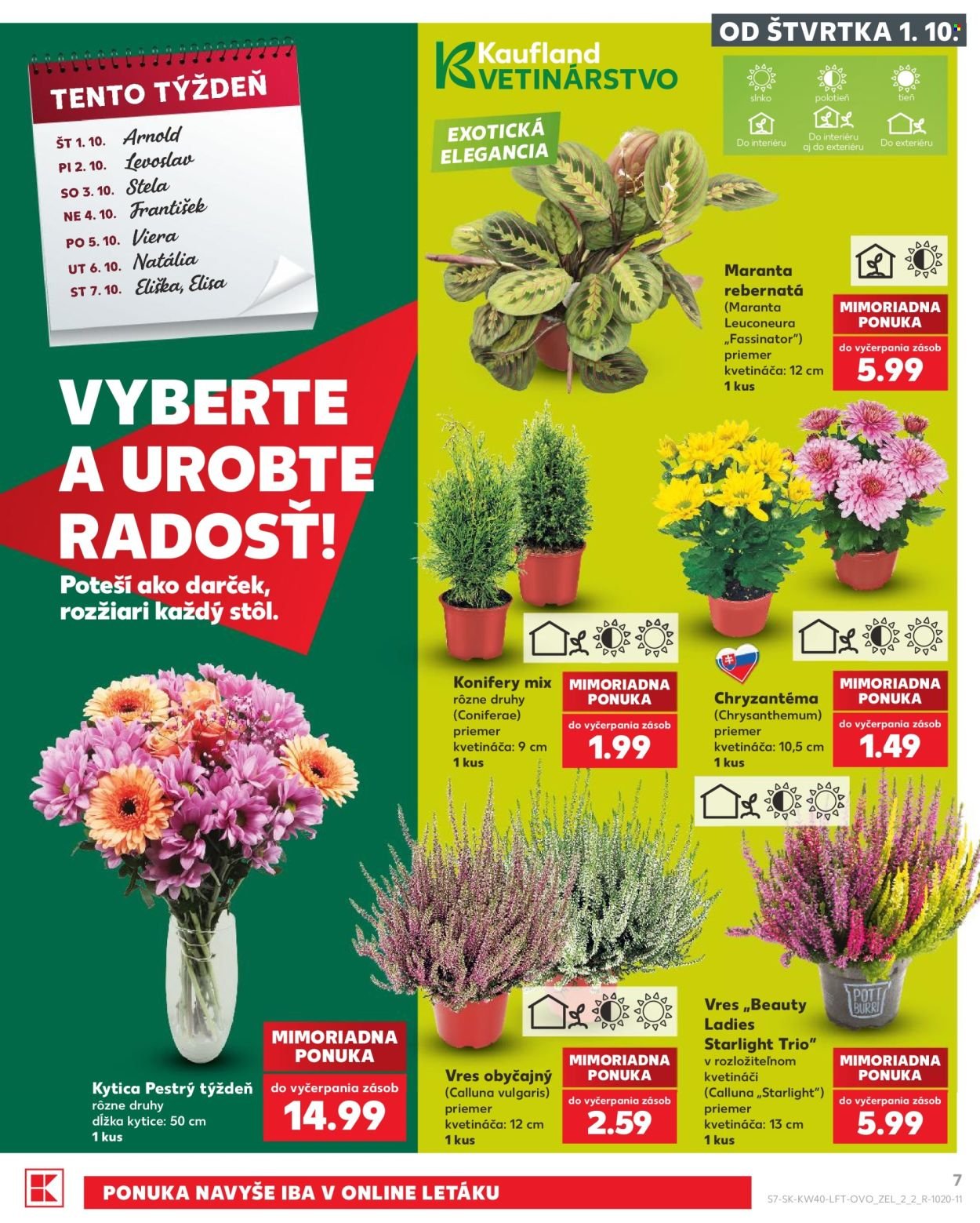 KAUFLAND leták - Od štvrtka 1.10.2026