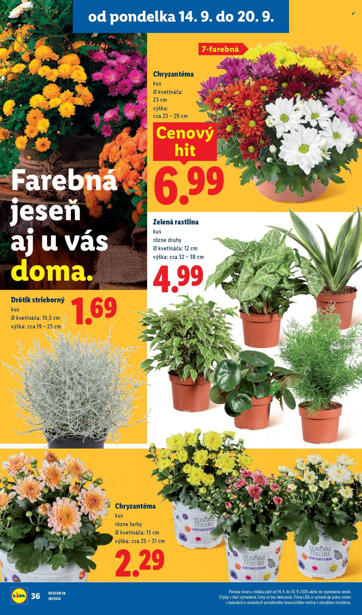 LIDL leták - Od pondelka 14.9.2026