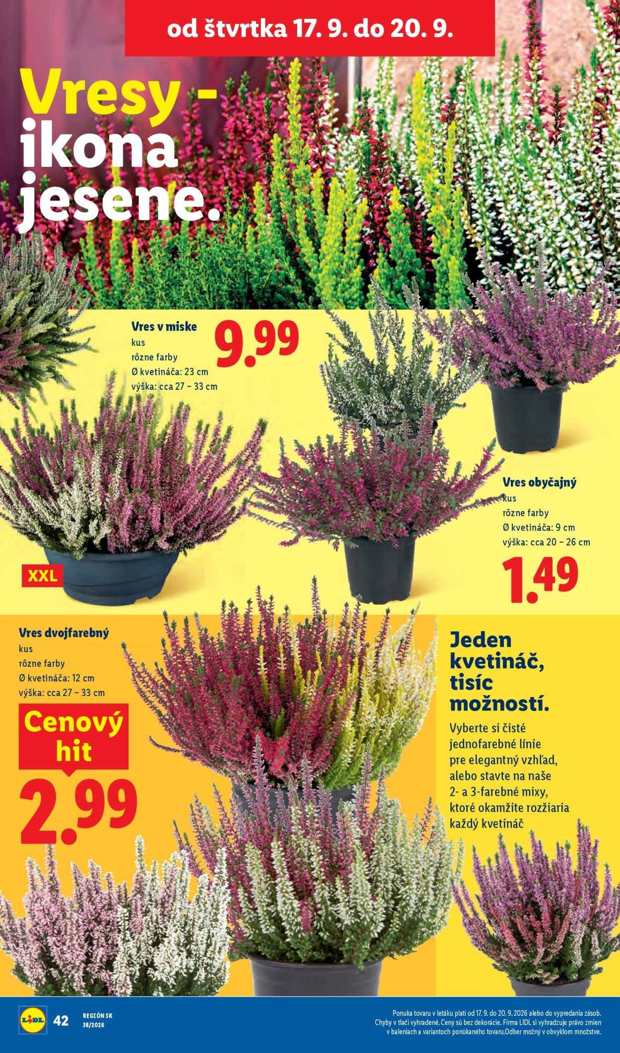 LIDL leták - Od pondelka 14.9.2026