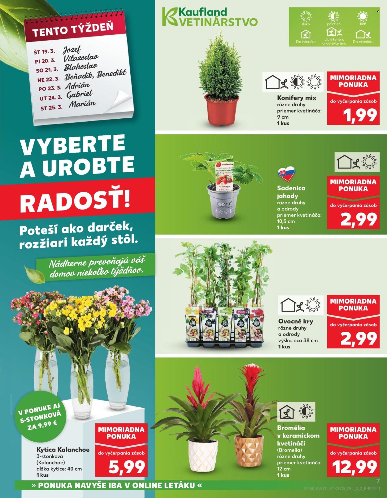 KAUFLAND leták - Od štvrtka 19.3.2026 (2026-03-19 - 2026-03-25) | 7