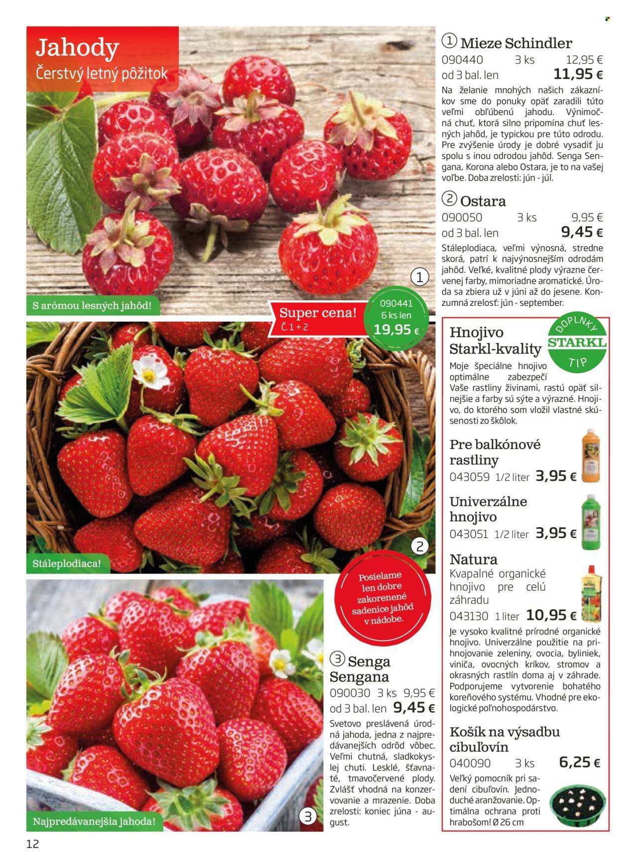 STARKL leták - auguste 2025 (2025-08-03) | 12
