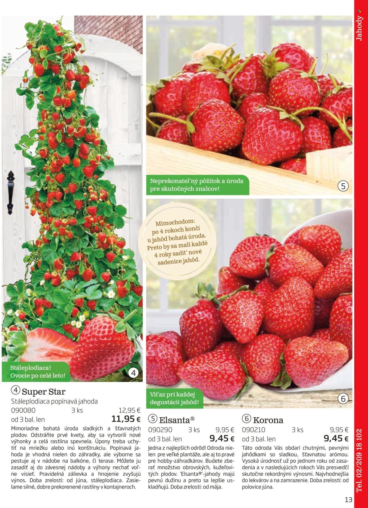 STARKL leták - auguste 2025 (2025-08-03) | 13