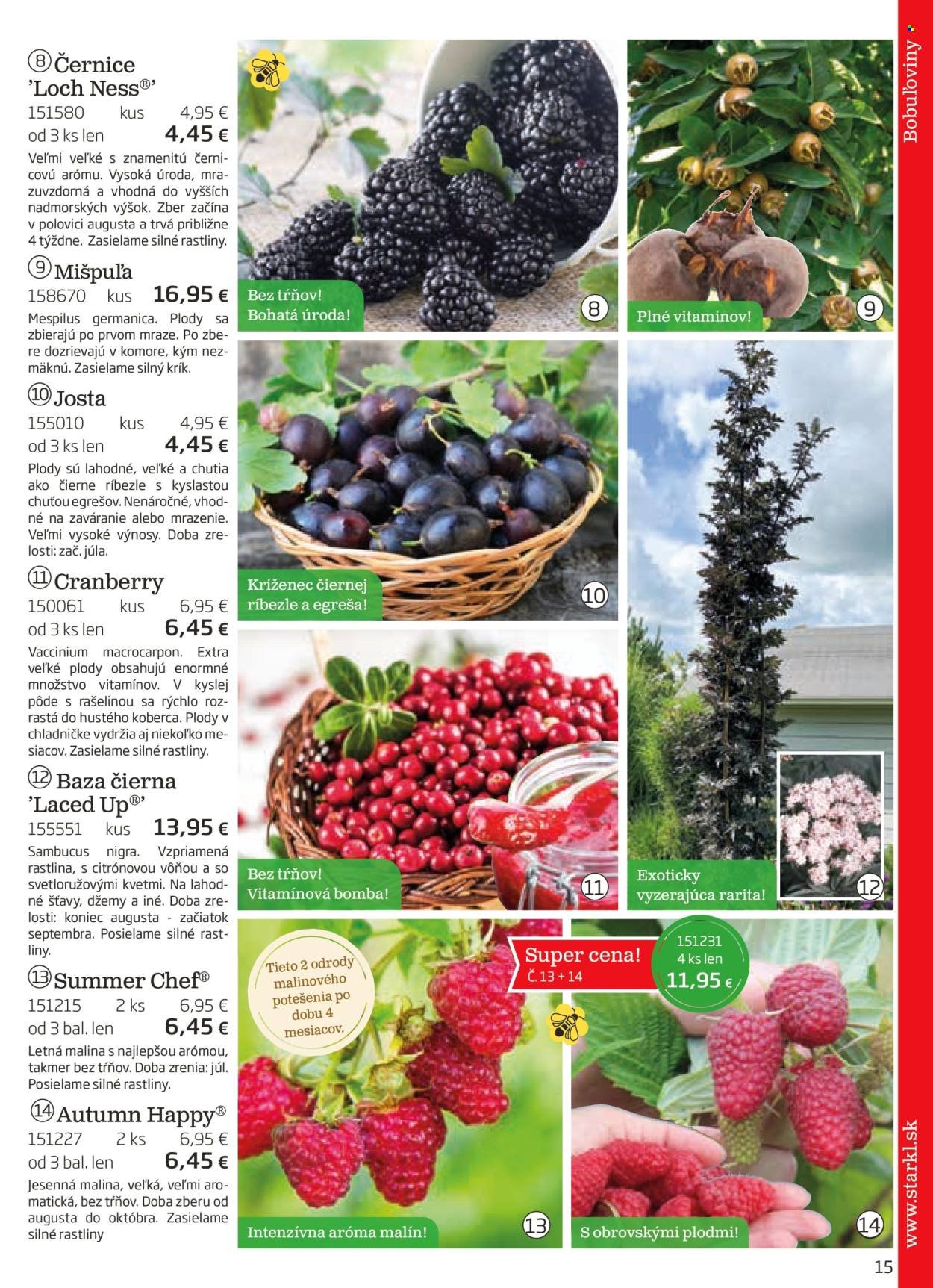 STARKL leták - auguste 2025 (2025-08-03) | 15