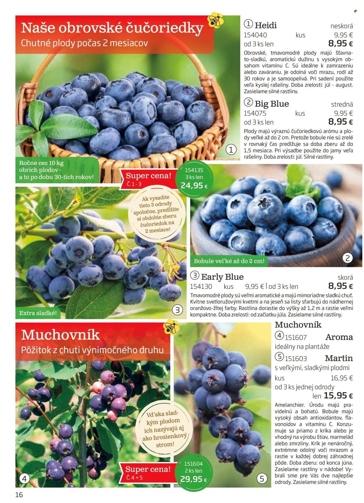 STARKL leták - auguste 2025 (2025-08-03) | 16