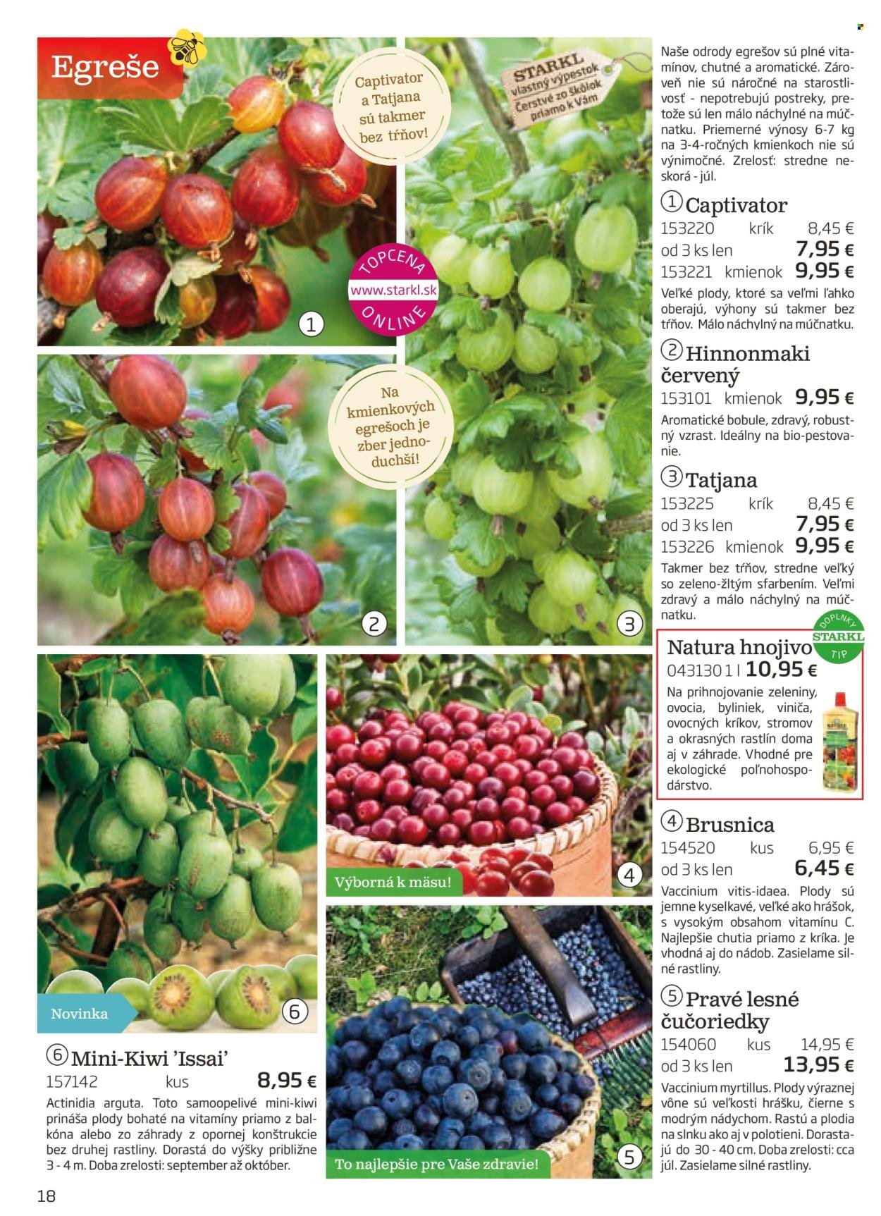 STARKL leták - auguste 2025 (2025-08-03) | 18