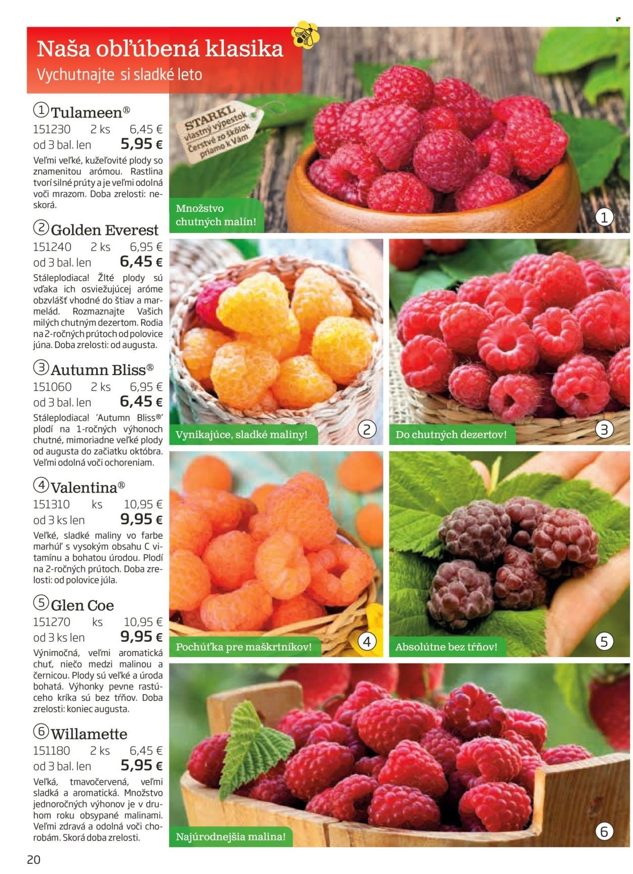 STARKL leták - auguste 2025 (2025-08-03) | 20