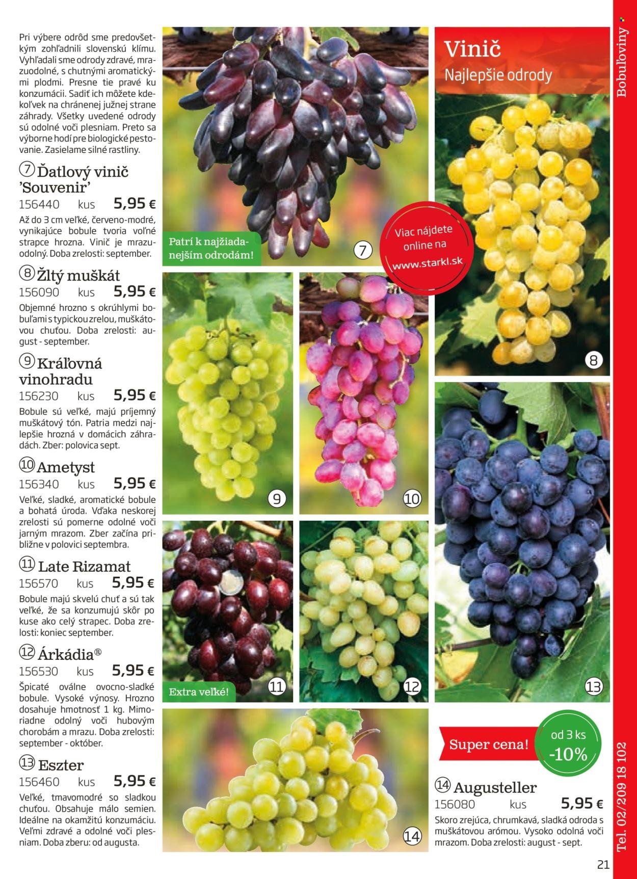 STARKL leták - auguste 2025 (2025-08-03) | 21