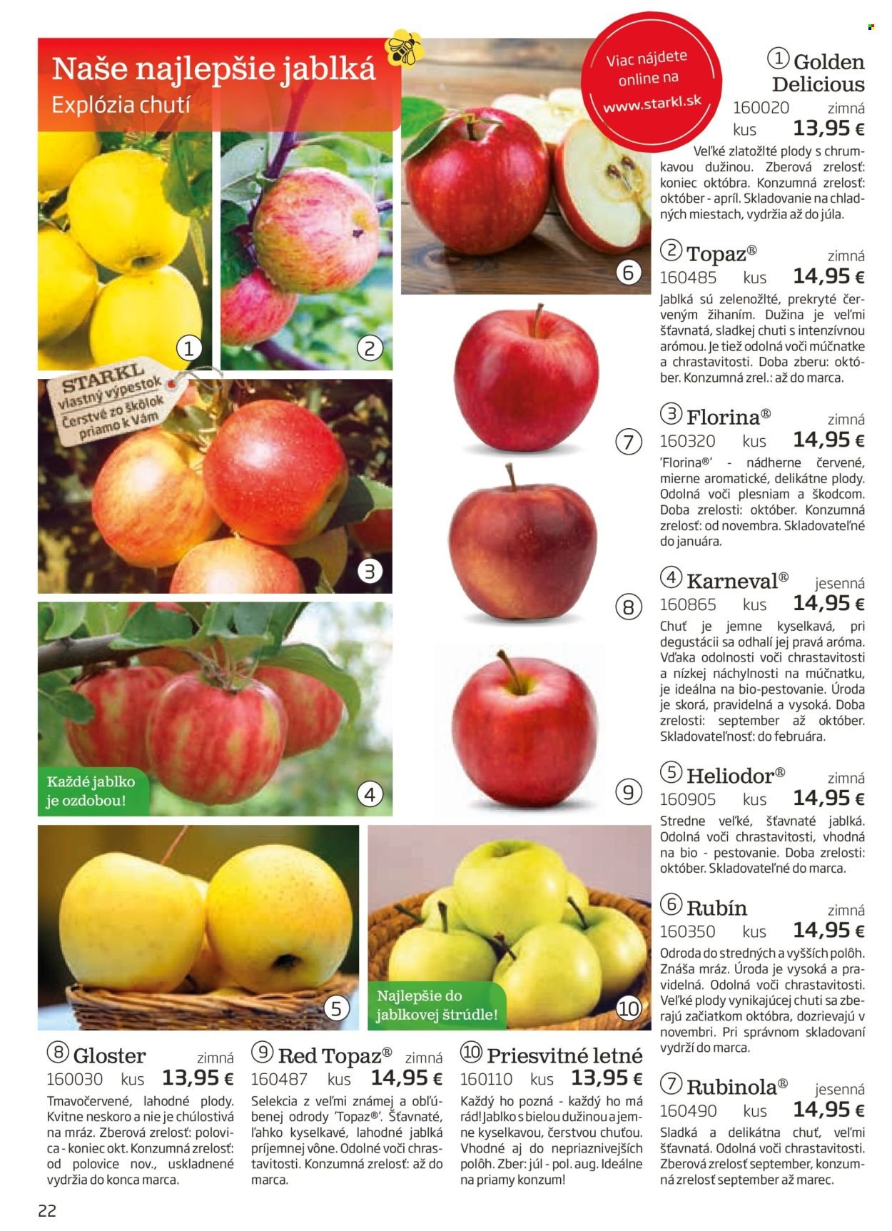 STARKL leták - auguste 2025 (2025-08-03) | 22