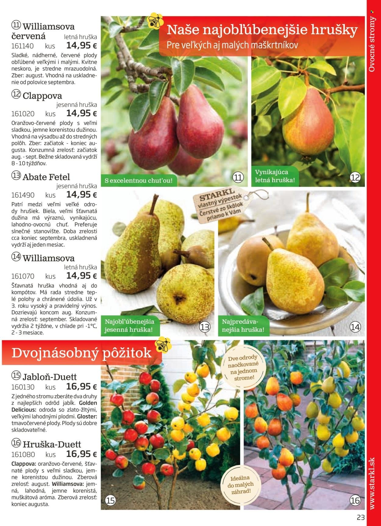 STARKL leták - auguste 2025 (2025-08-03) | 23