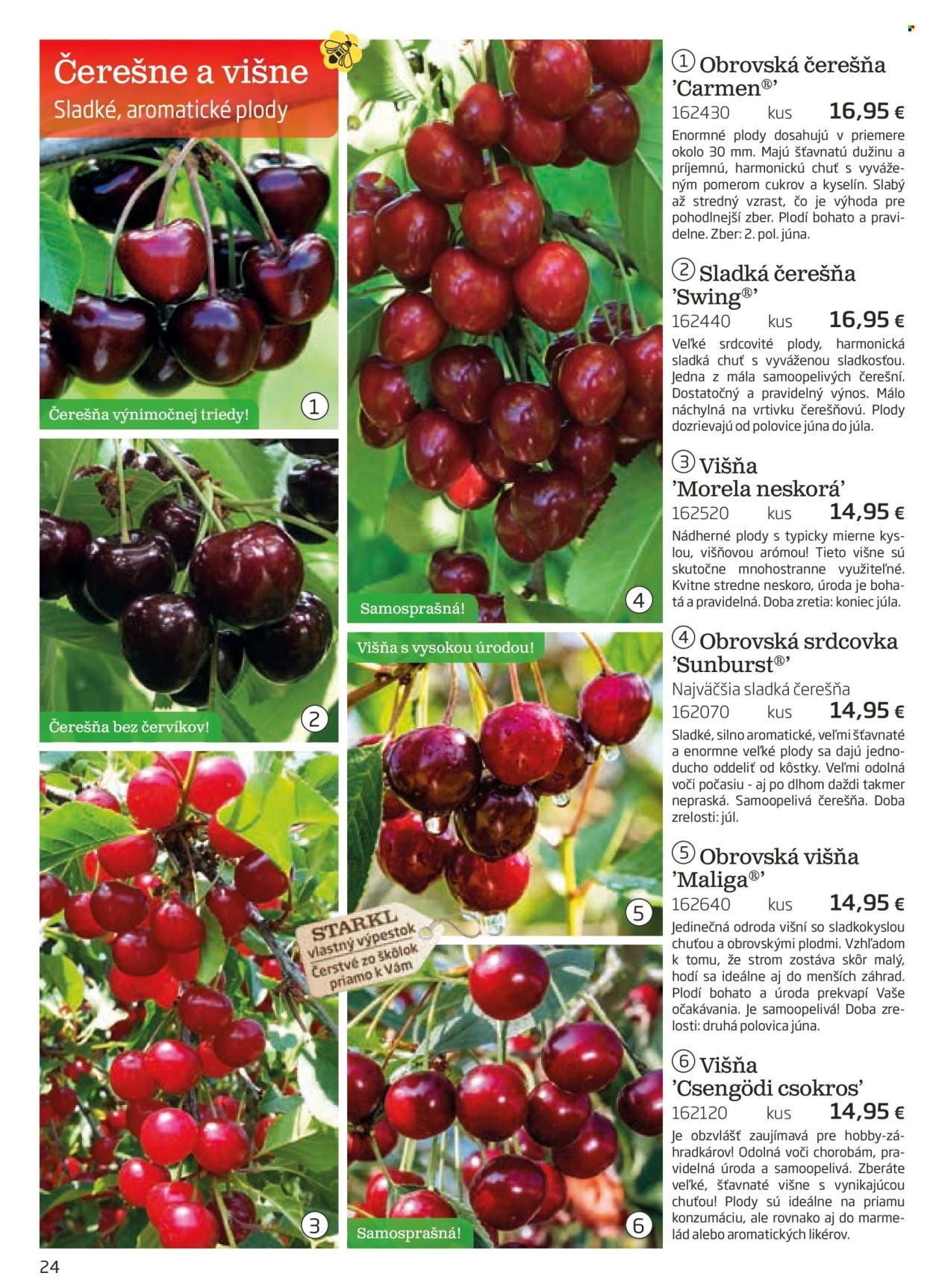 STARKL leták - auguste 2025 (2025-08-03) | 24