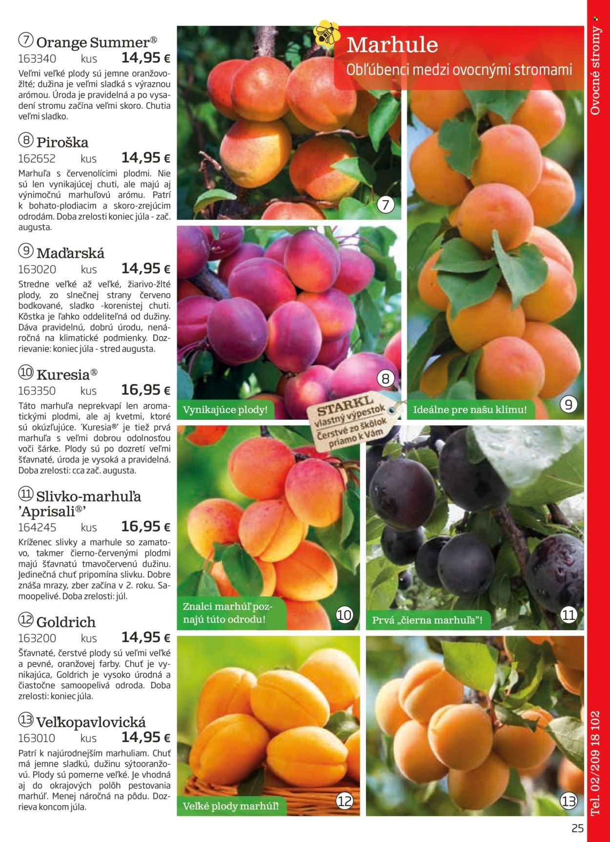 STARKL leták - auguste 2025 (2025-08-03) | 25