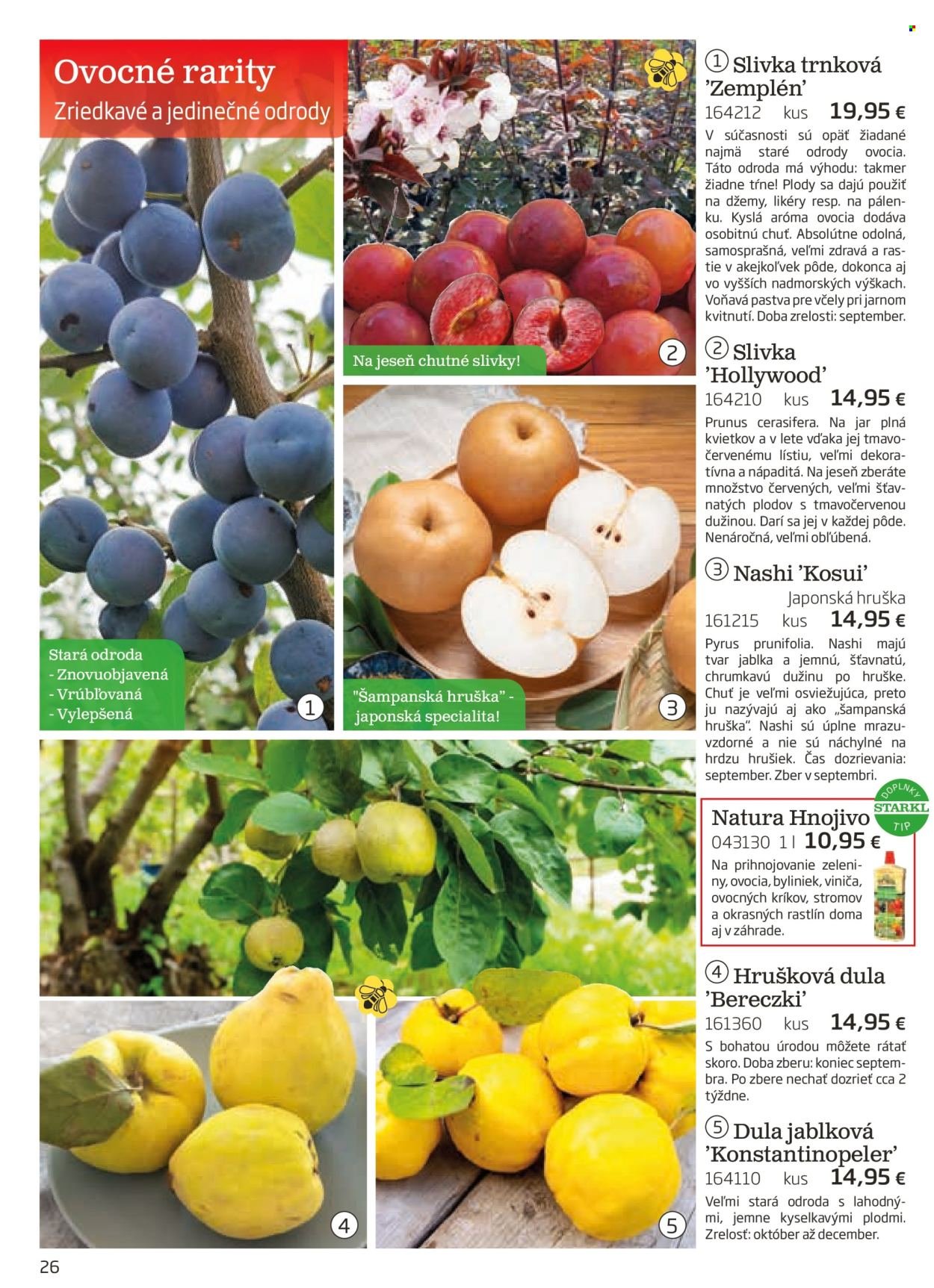 STARKL leták - auguste 2025 (2025-08-03) | 26