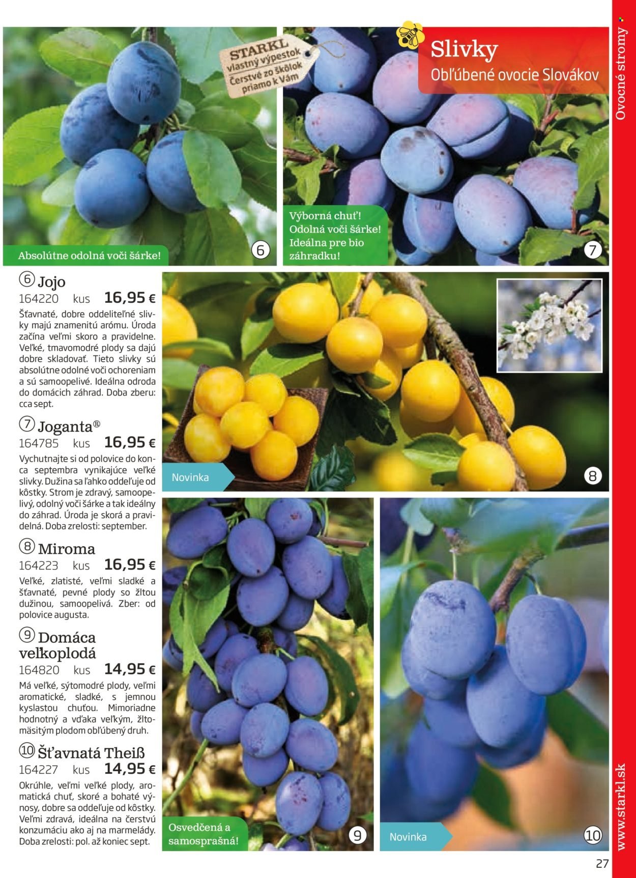 STARKL leták - auguste 2025 (2025-08-03) | 27
