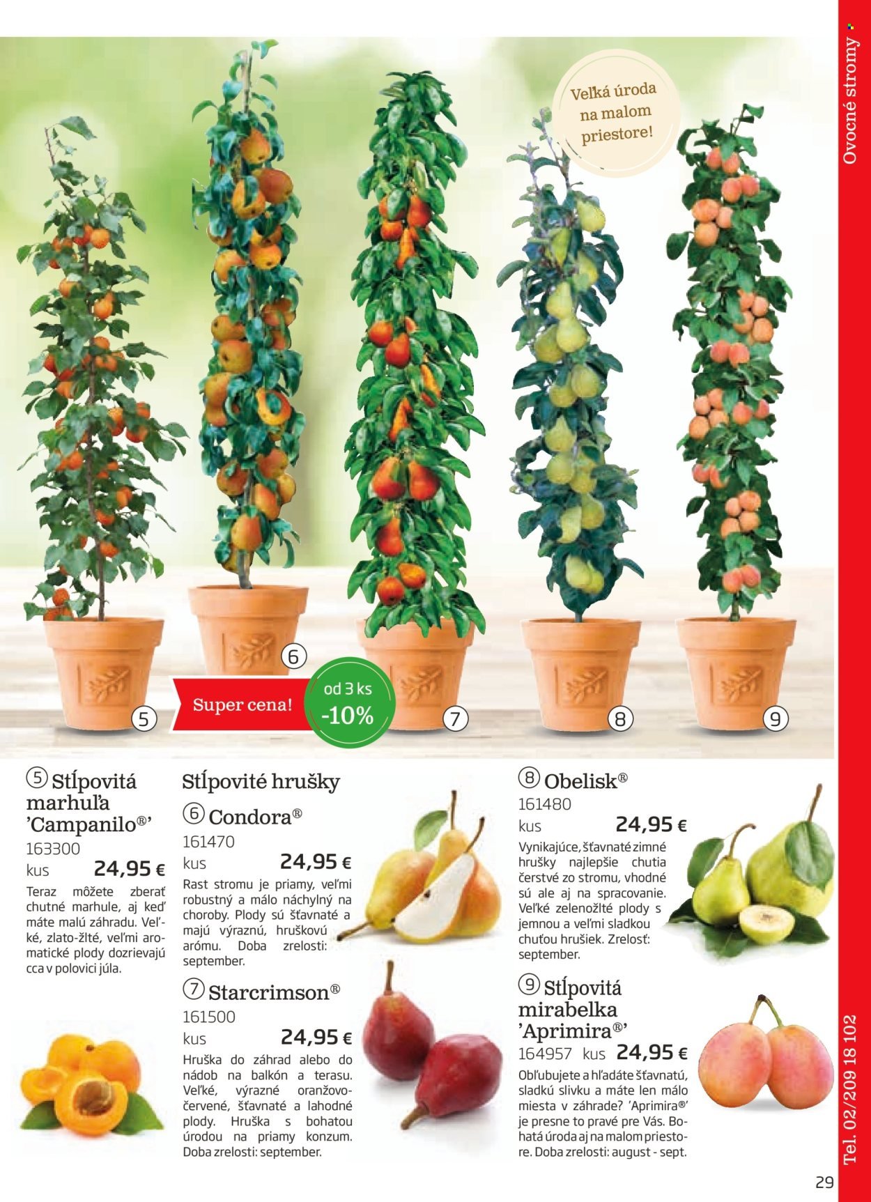 STARKL leták - auguste 2025 (2025-08-03) | 29