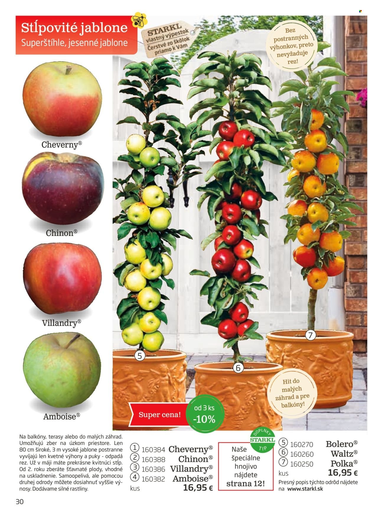 STARKL leták - auguste 2025 (2025-08-03) | 30