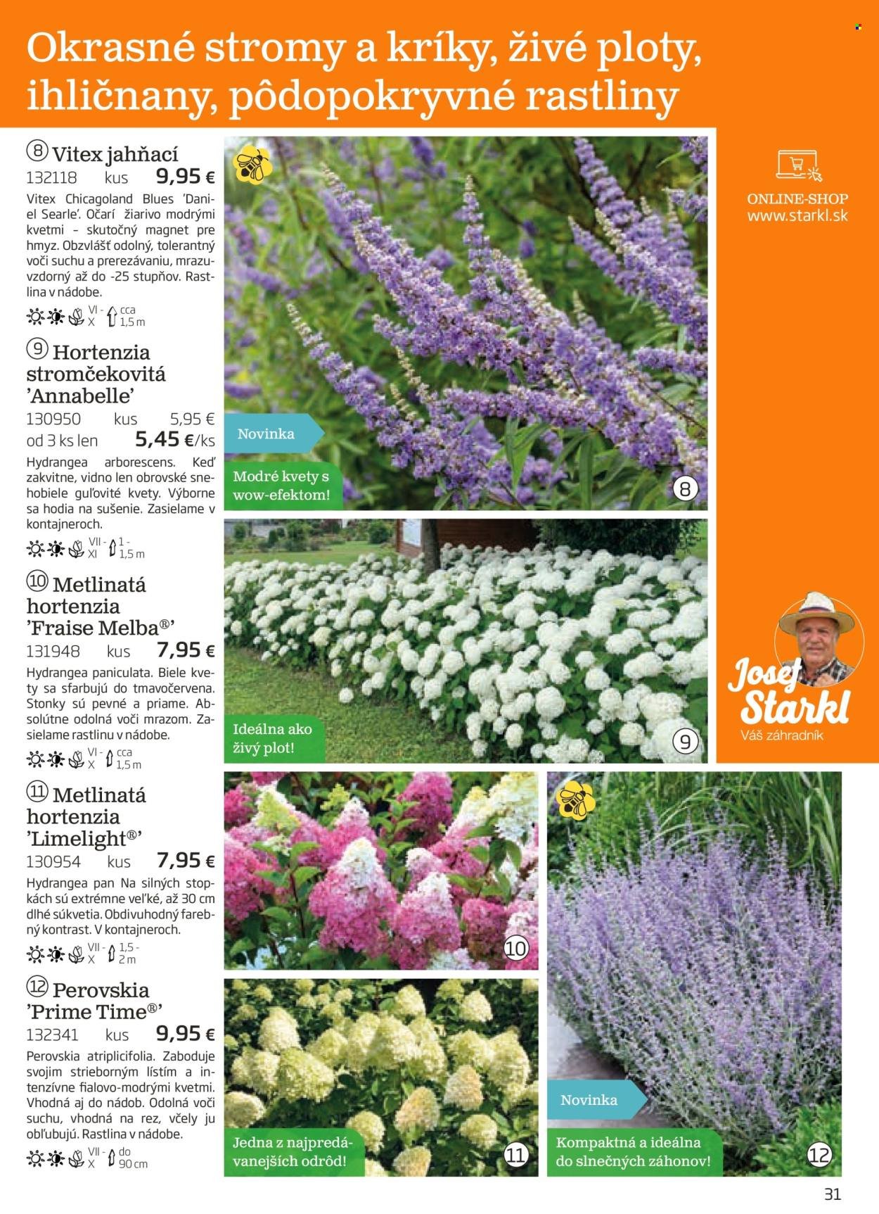 STARKL leták - auguste 2025 (2025-08-03) | 31