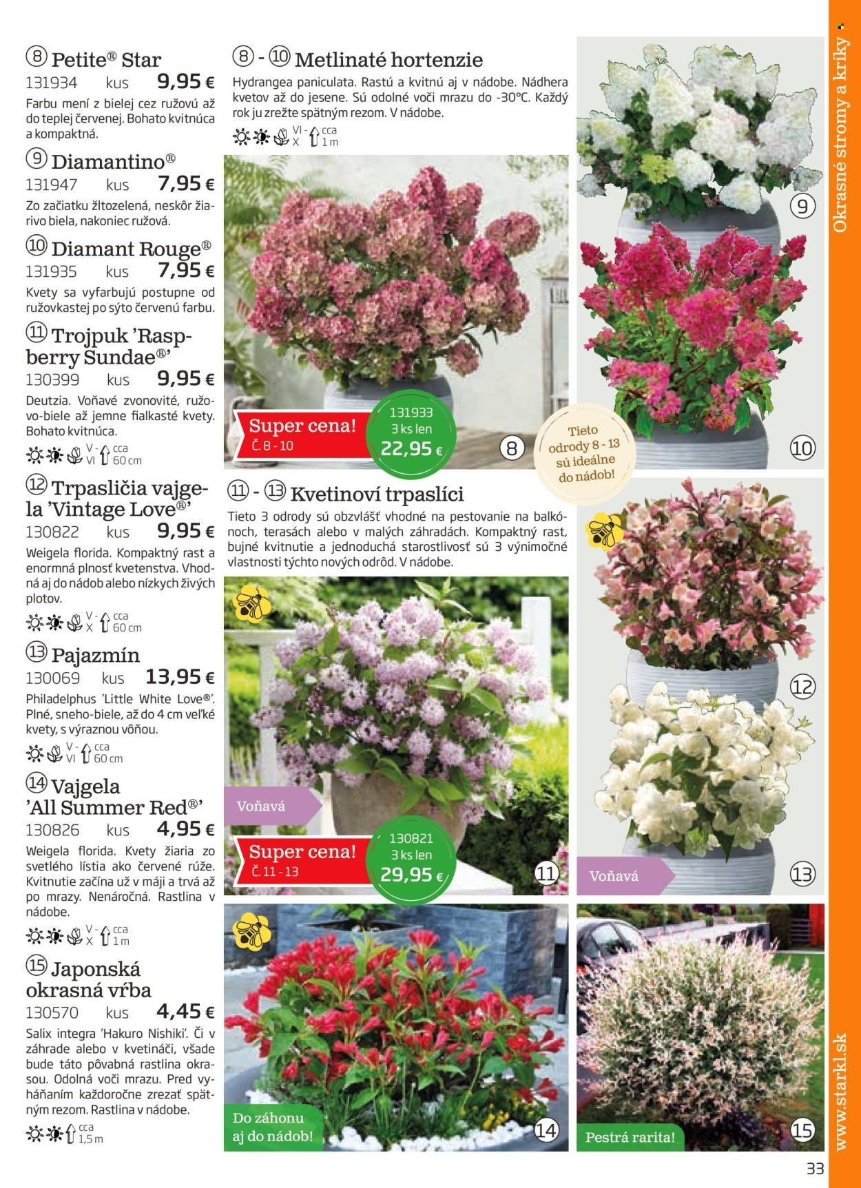 STARKL leták - auguste 2025 (2025-08-03) | 33