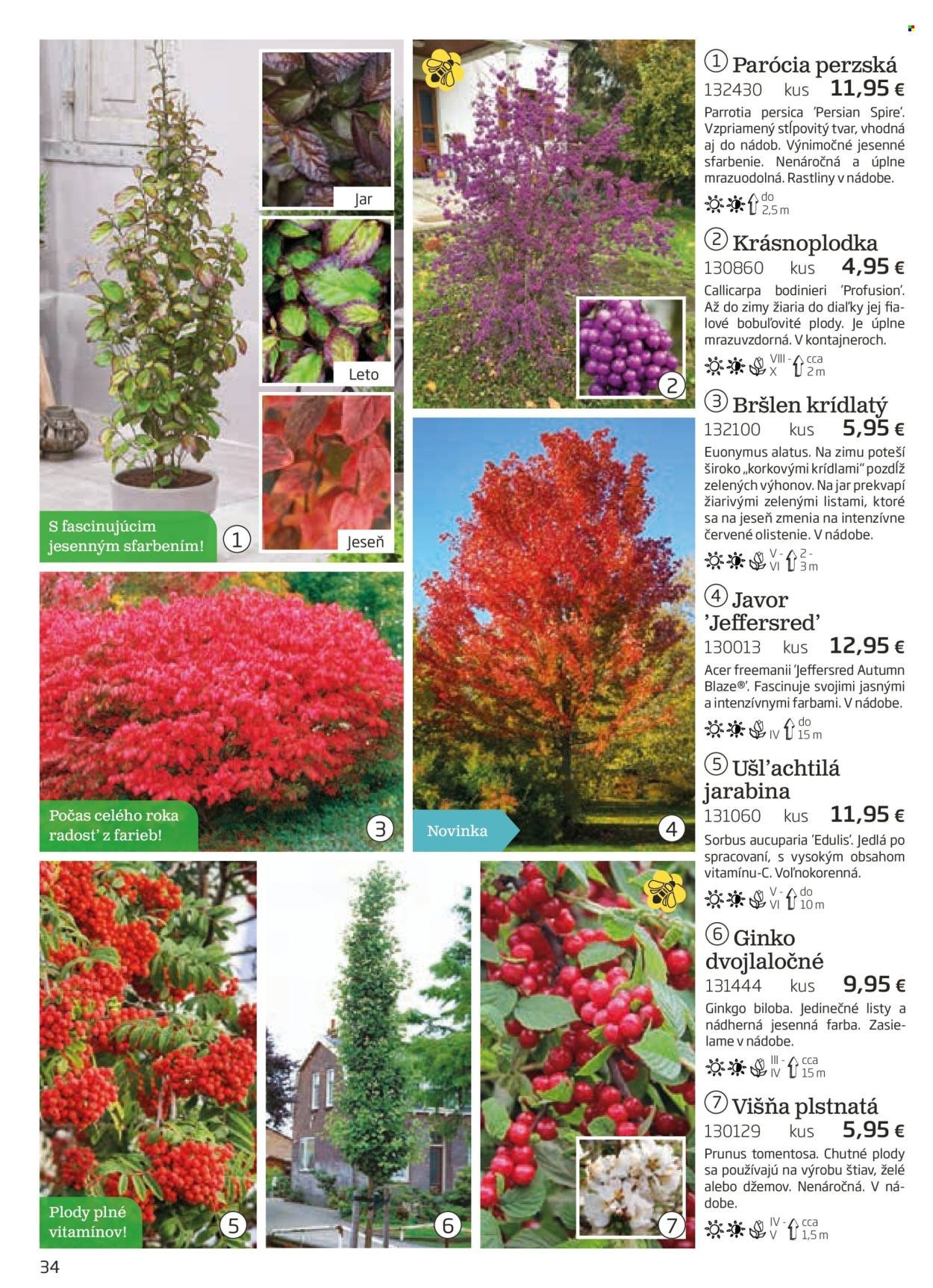 STARKL leták - auguste 2025 (2025-08-03) | 34