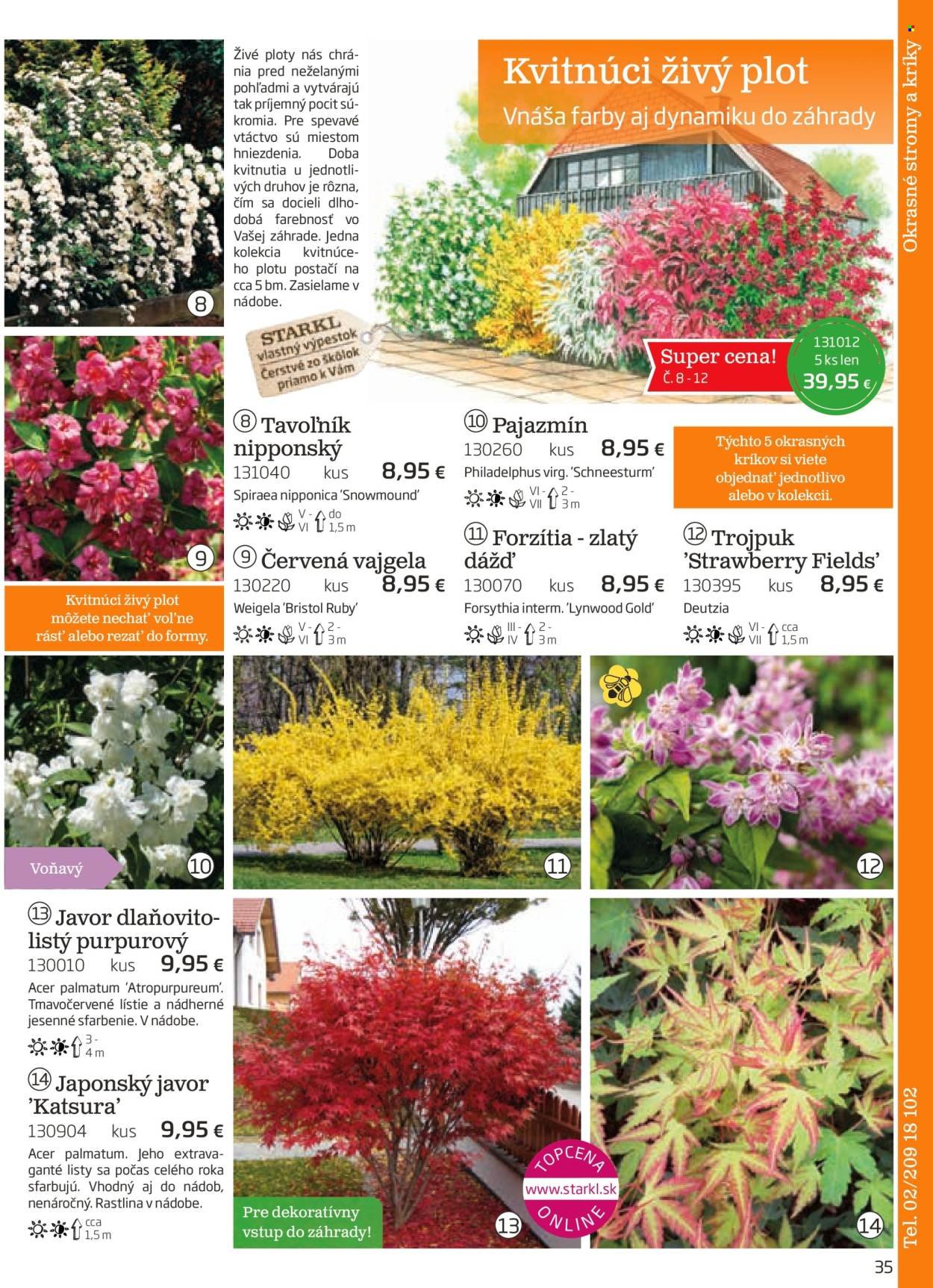 STARKL leták - auguste 2025 (2025-08-03) | 35