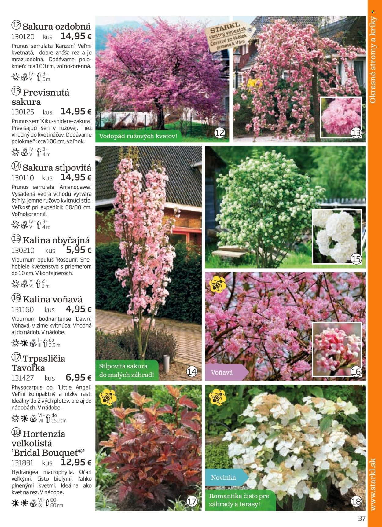 STARKL leták - auguste 2025 (2025-08-03) | 37