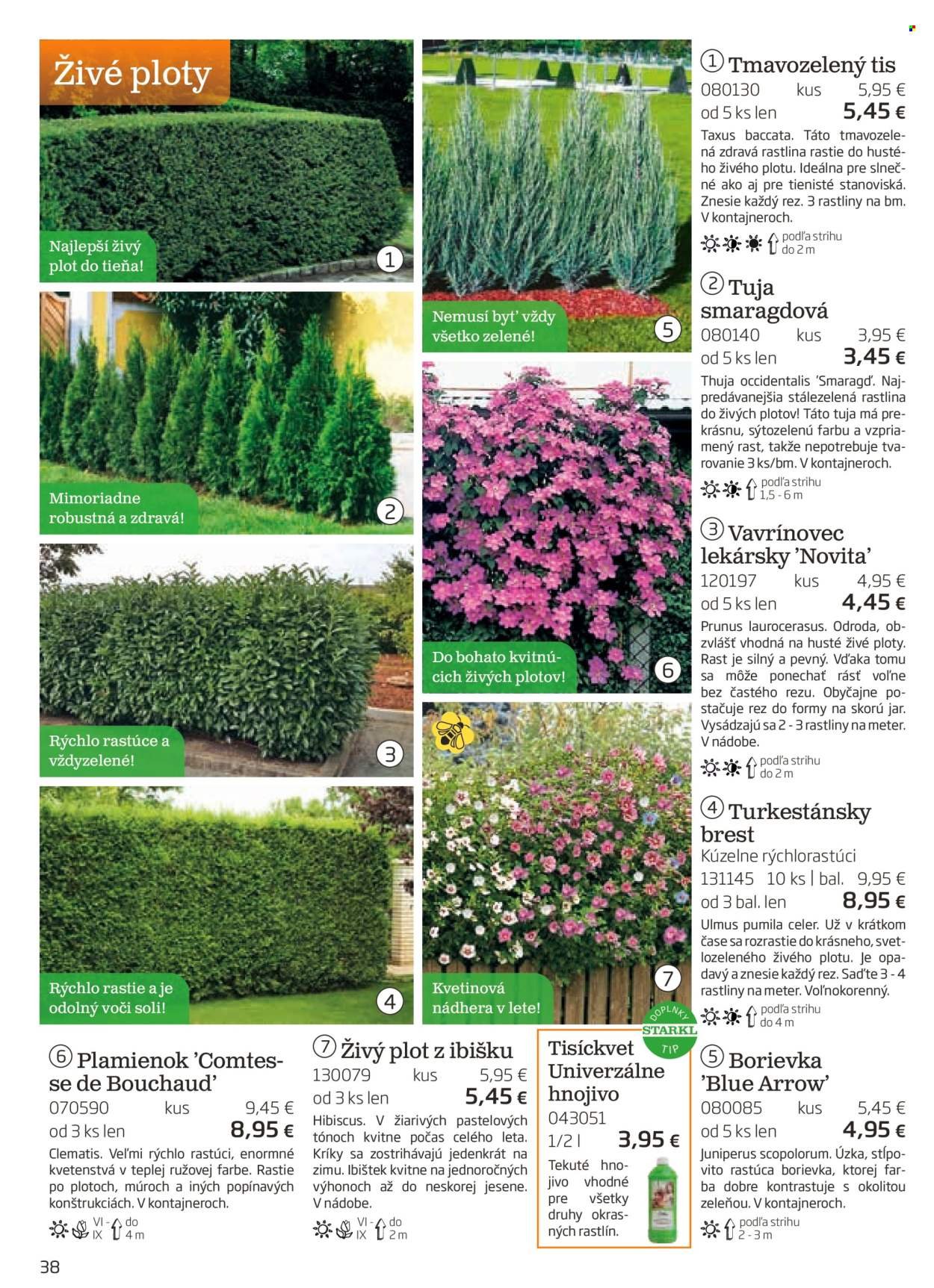 STARKL leták - auguste 2025 (2025-08-03) | 38