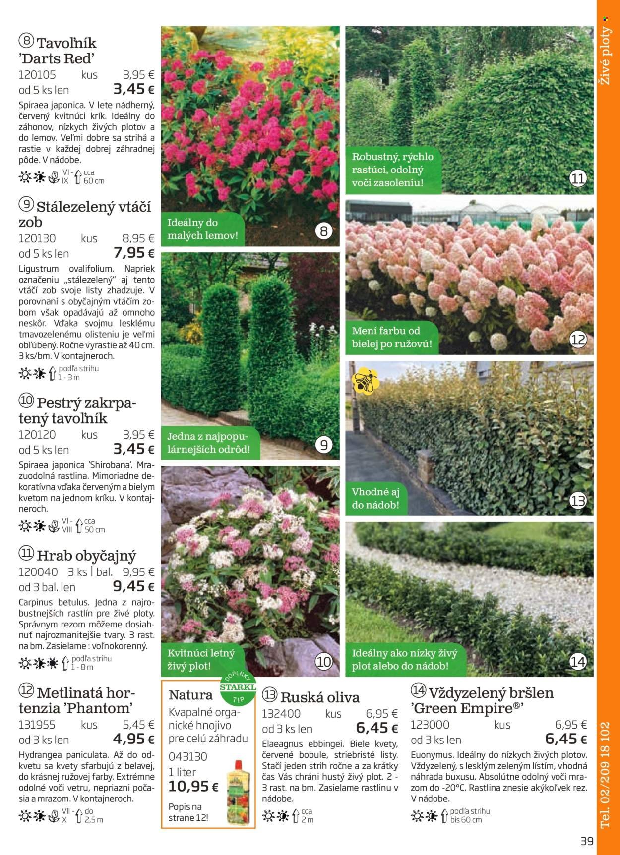 STARKL leták - auguste 2025 (2025-08-03) | 39