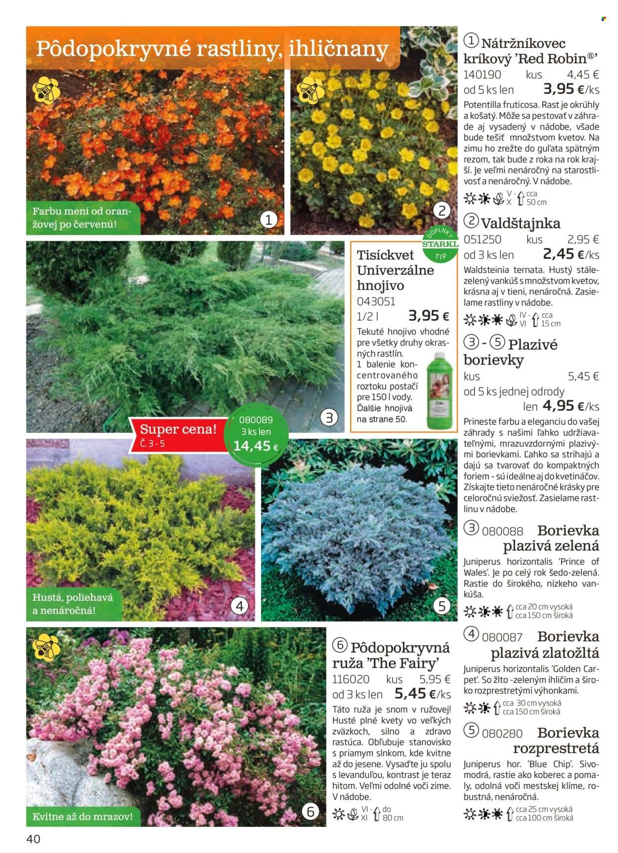 STARKL leták - auguste 2025 (2025-08-03) | 40