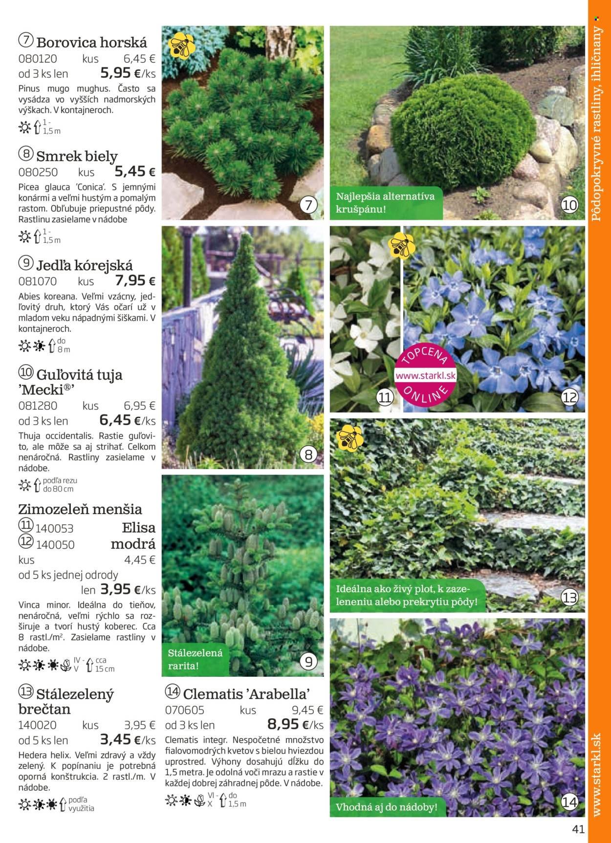 STARKL leták - auguste 2025 (2025-08-03) | 41