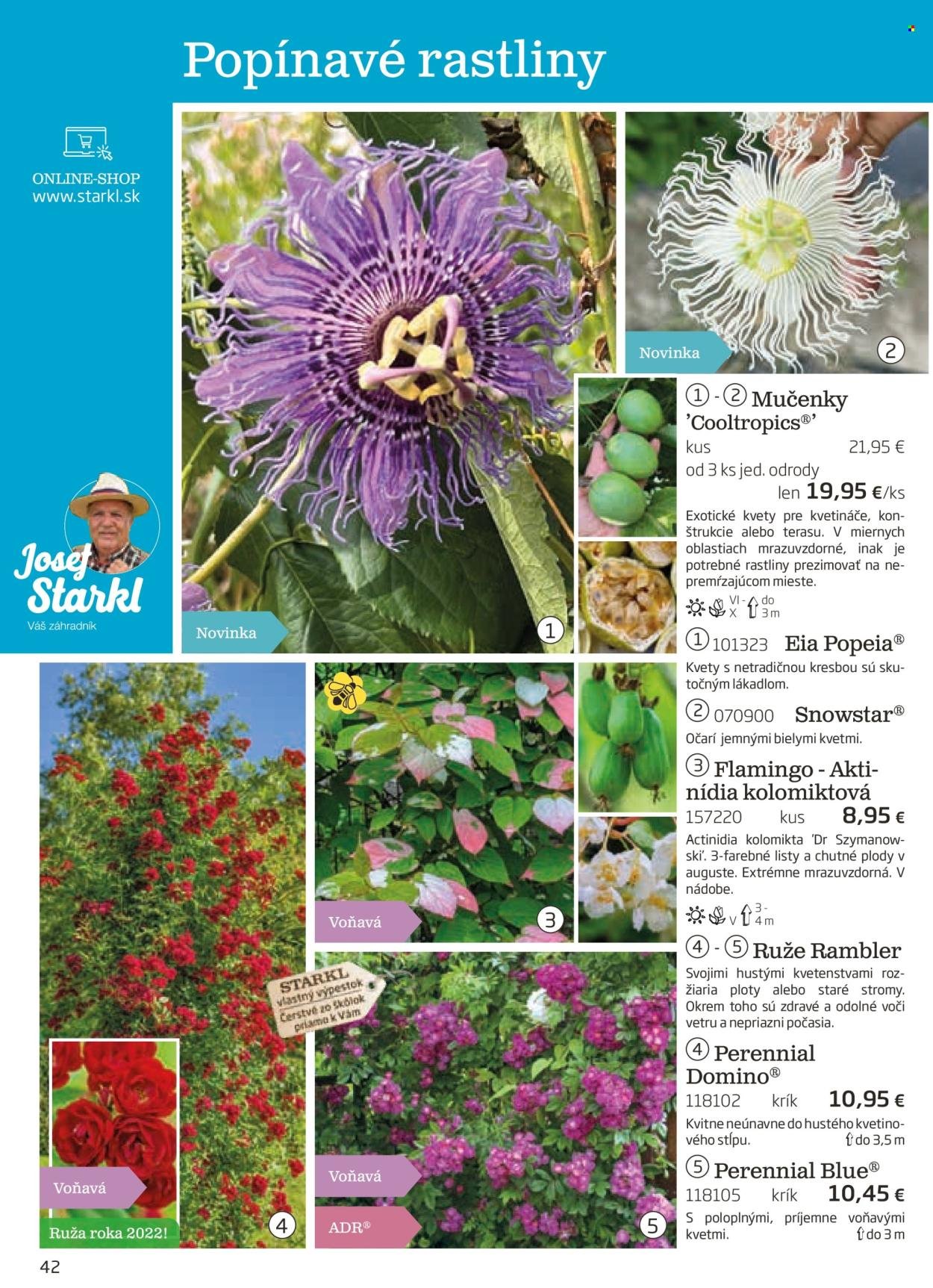 STARKL leták - auguste 2025 (2025-08-03) | 42