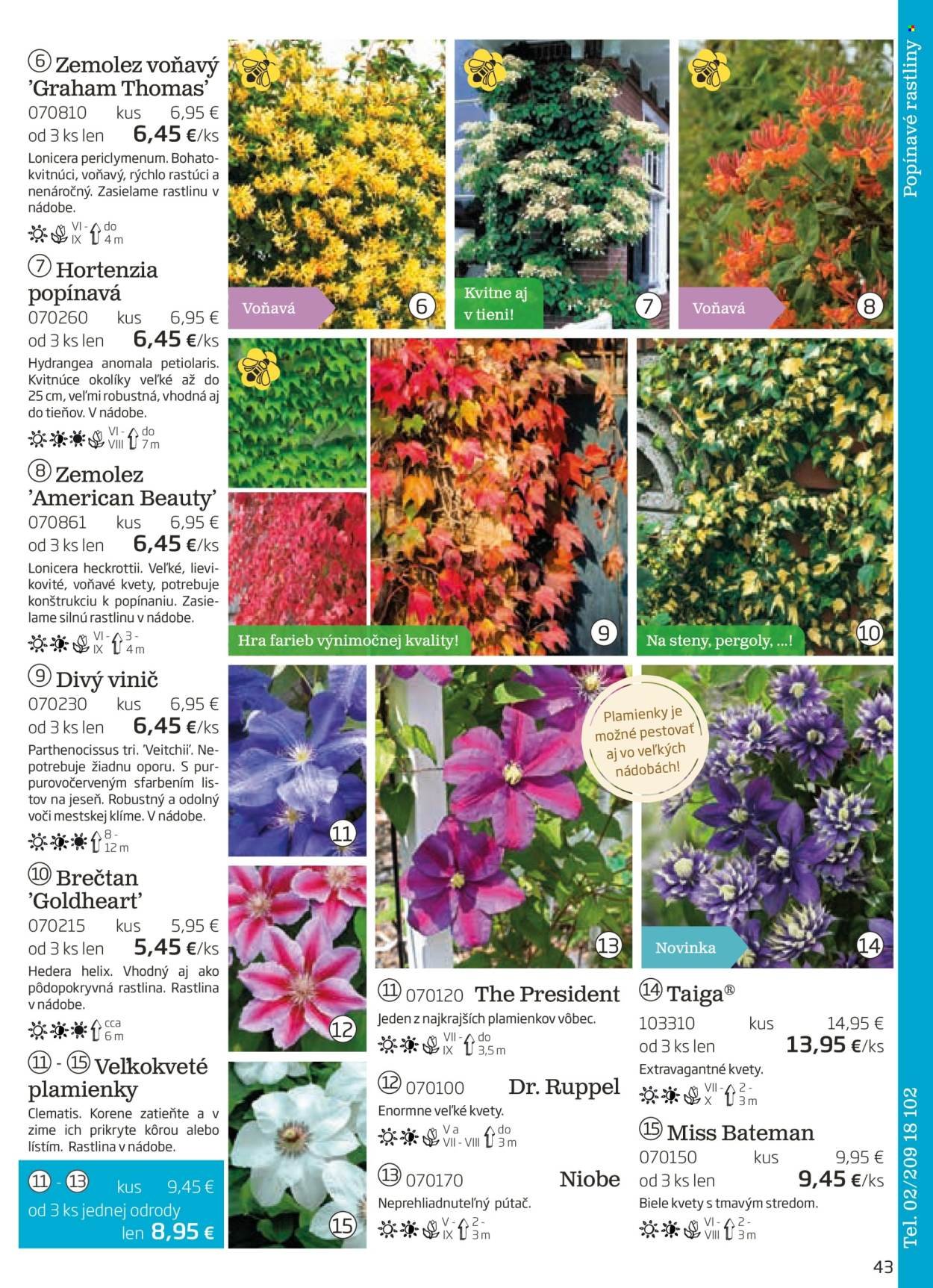 STARKL leták - auguste 2025 (2025-08-03) | 43