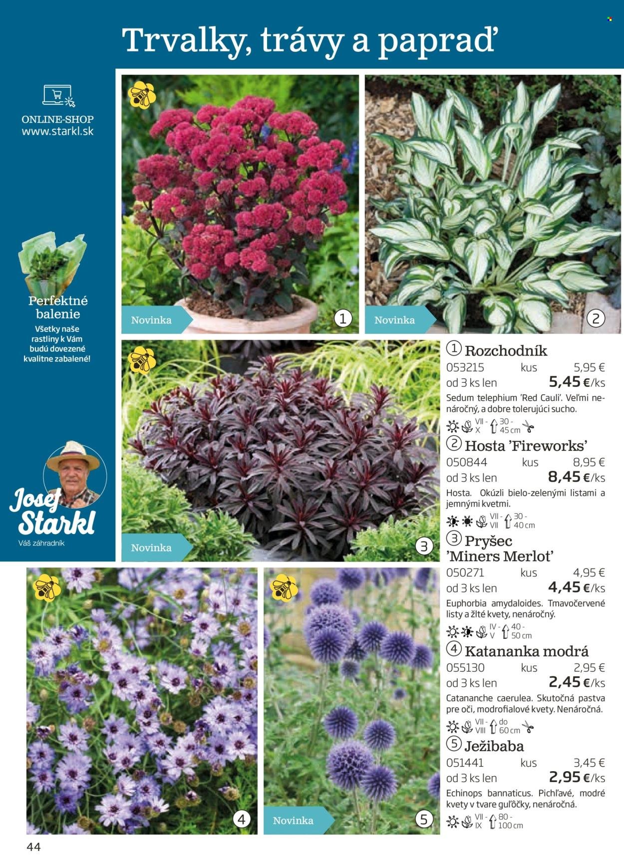 STARKL leták - auguste 2025 (2025-08-03) | 44