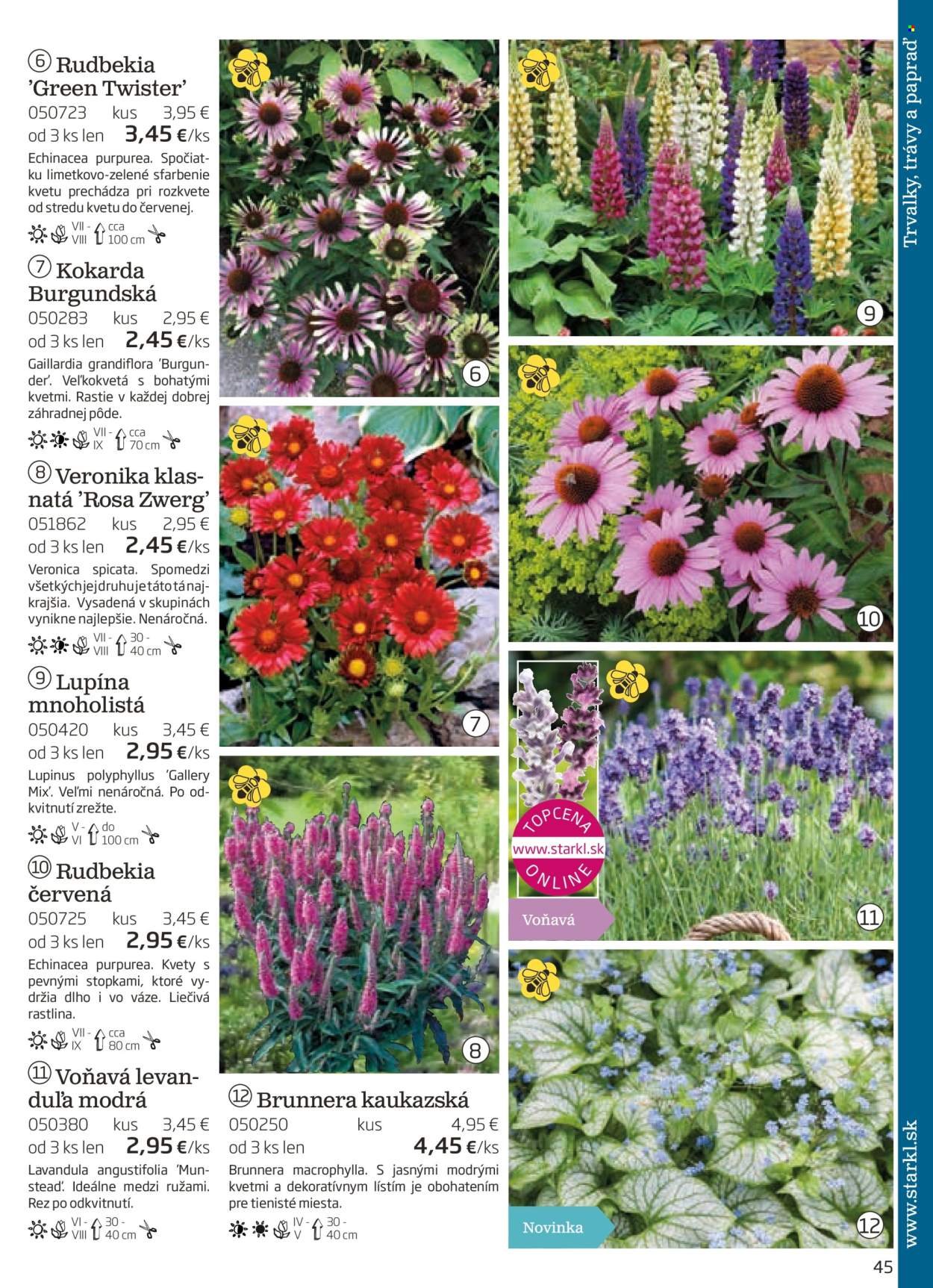 STARKL leták - auguste 2025 (2025-08-03) | 45