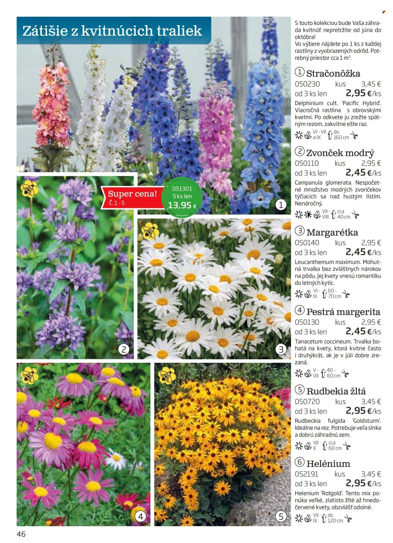 STARKL leták - auguste 2025 (2025-08-03) | 46