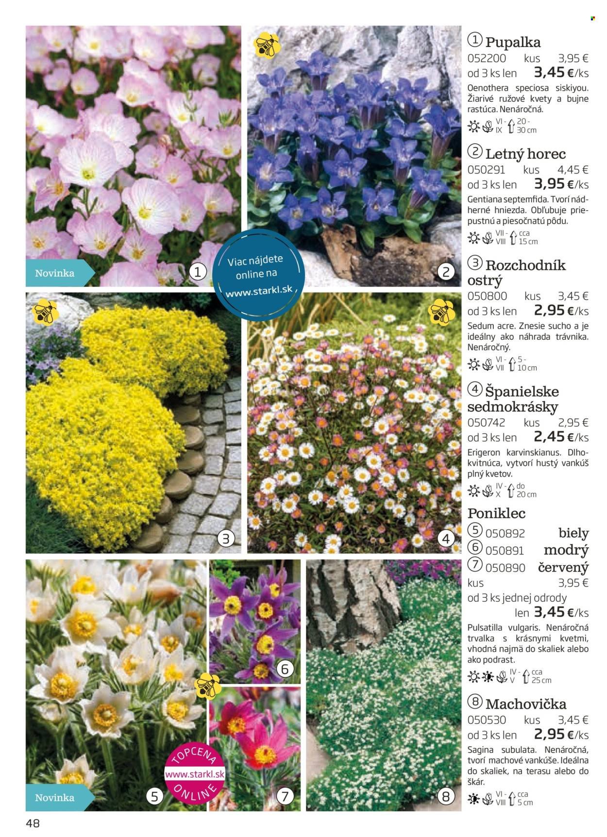 STARKL leták - auguste 2025 (2025-08-03) | 48