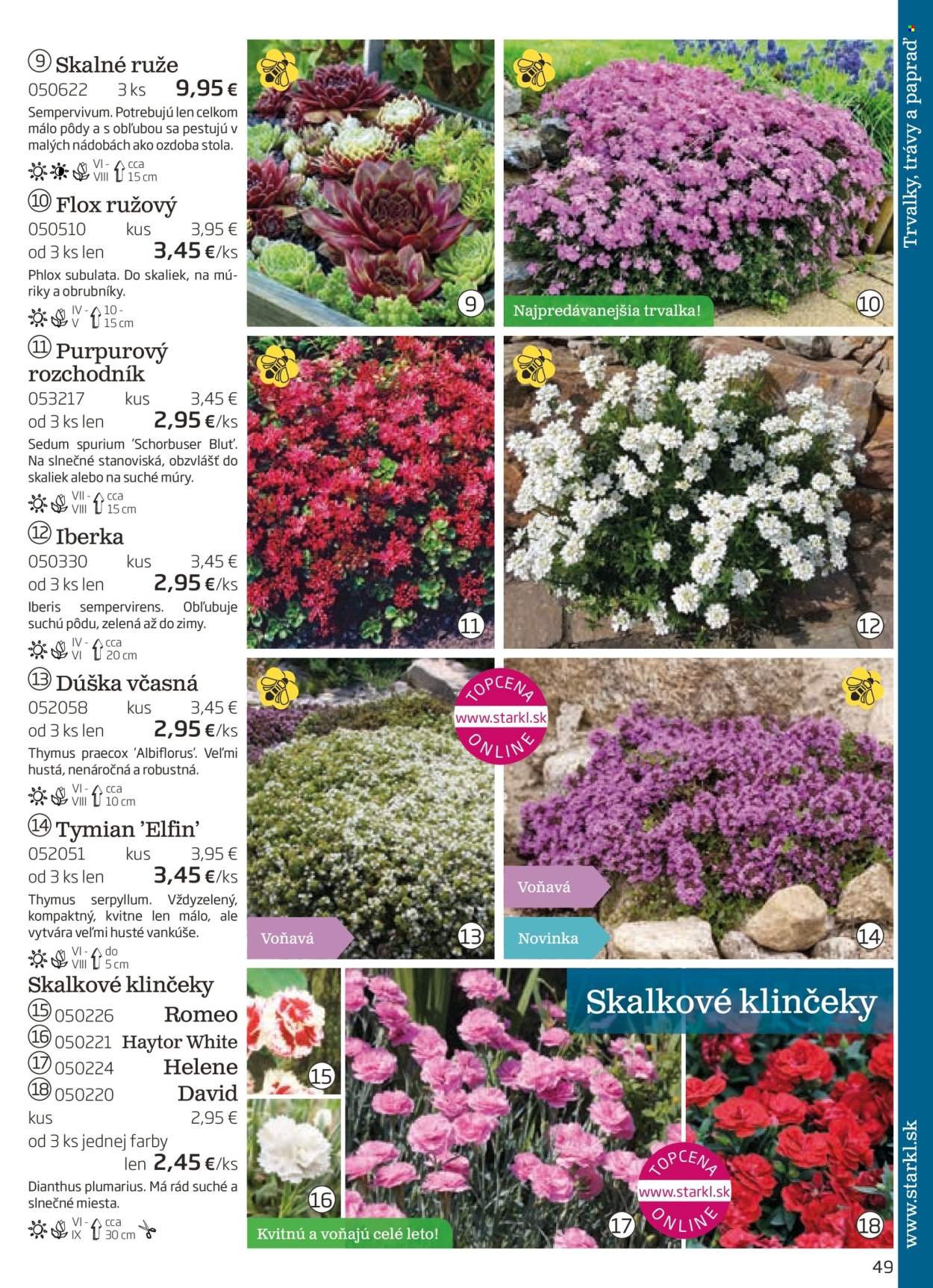 STARKL leták - auguste 2025 (2025-08-03) | 49