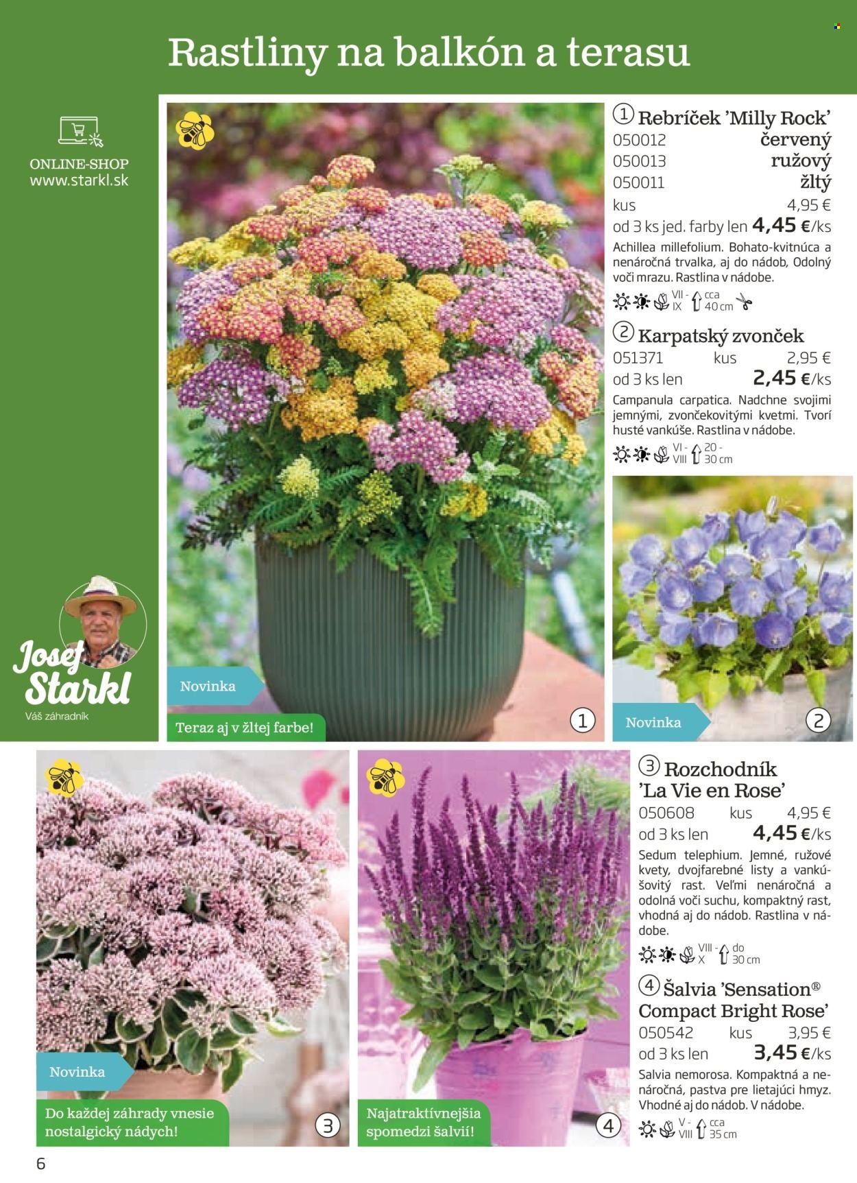 STARKL leták - auguste 2025 (2025-08-03) | 6