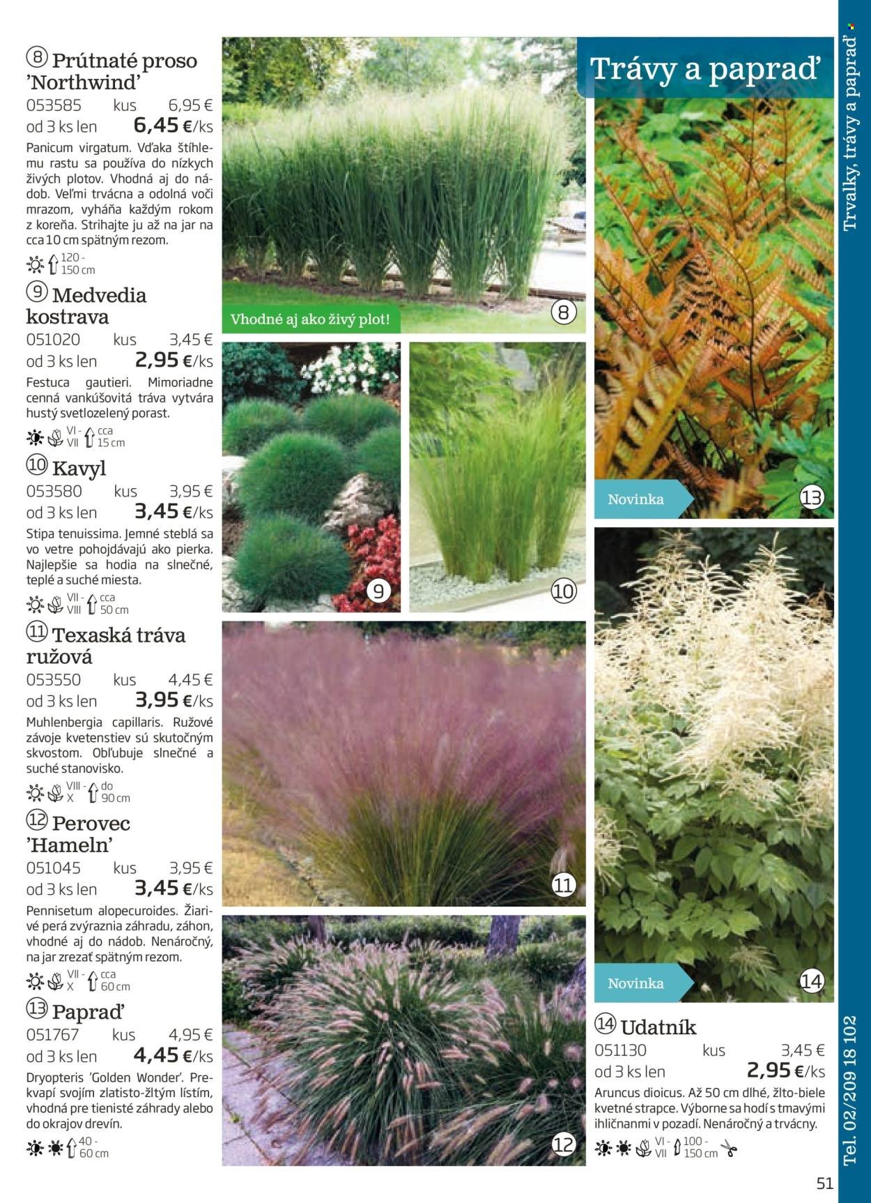 STARKL leták - auguste 2025 (2025-08-03) | 51