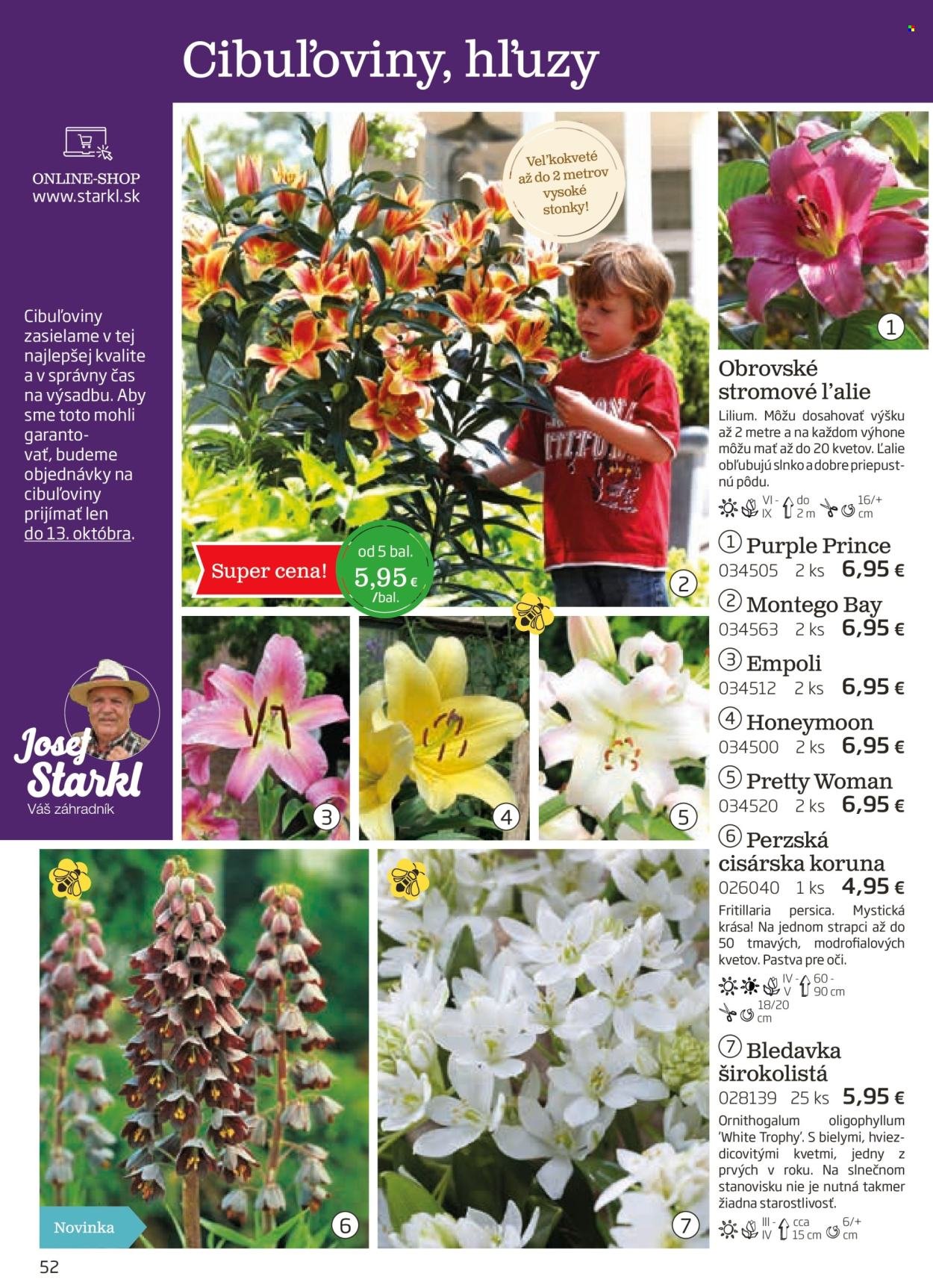 STARKL leták - auguste 2025 (2025-08-03) | 52