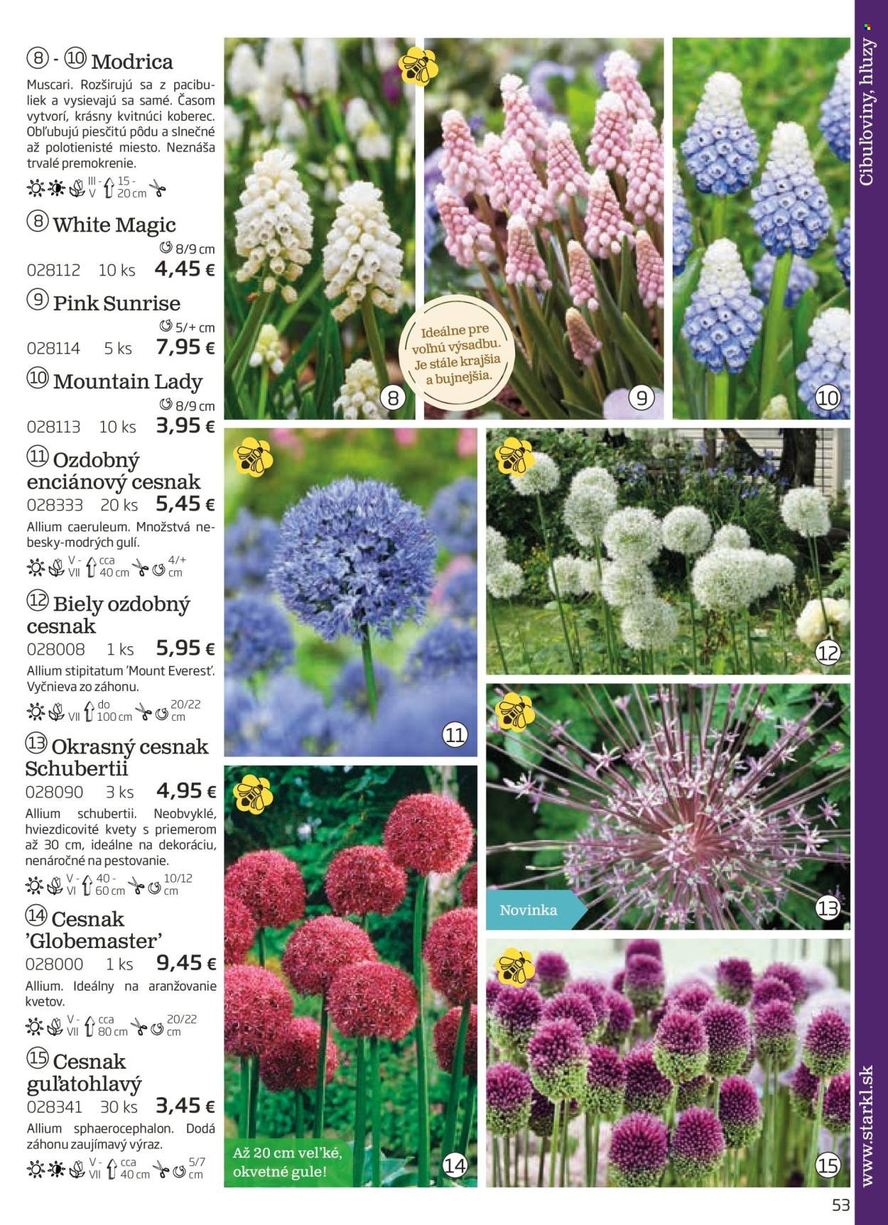 STARKL leták - auguste 2025 (2025-08-03) | 53