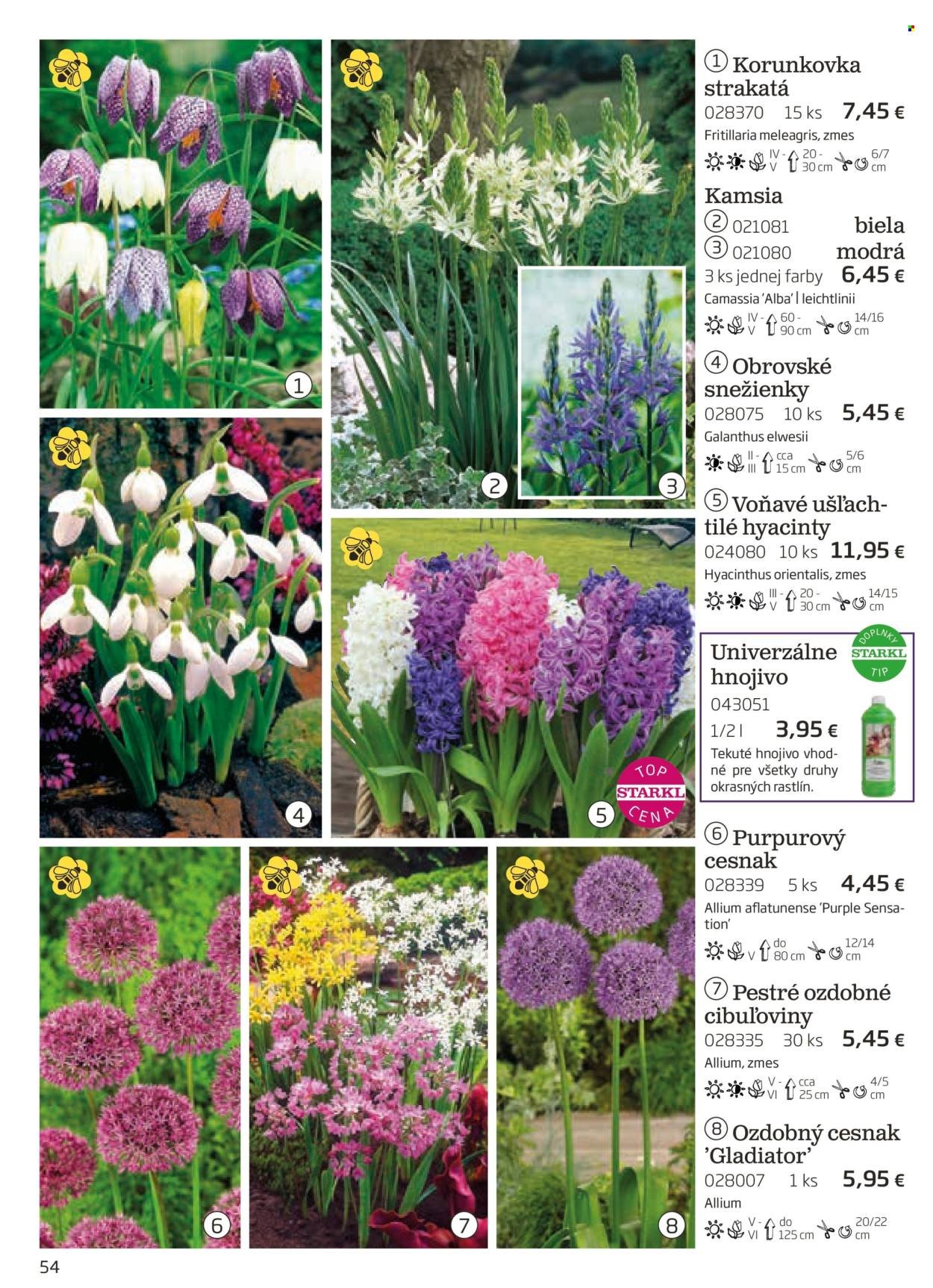 STARKL leták - auguste 2025 (2025-08-03) | 54