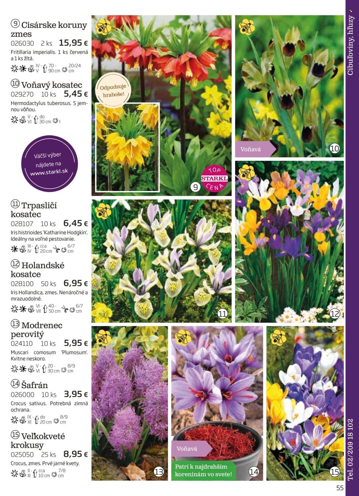 STARKL leták - auguste 2025 (2025-08-03) | 55