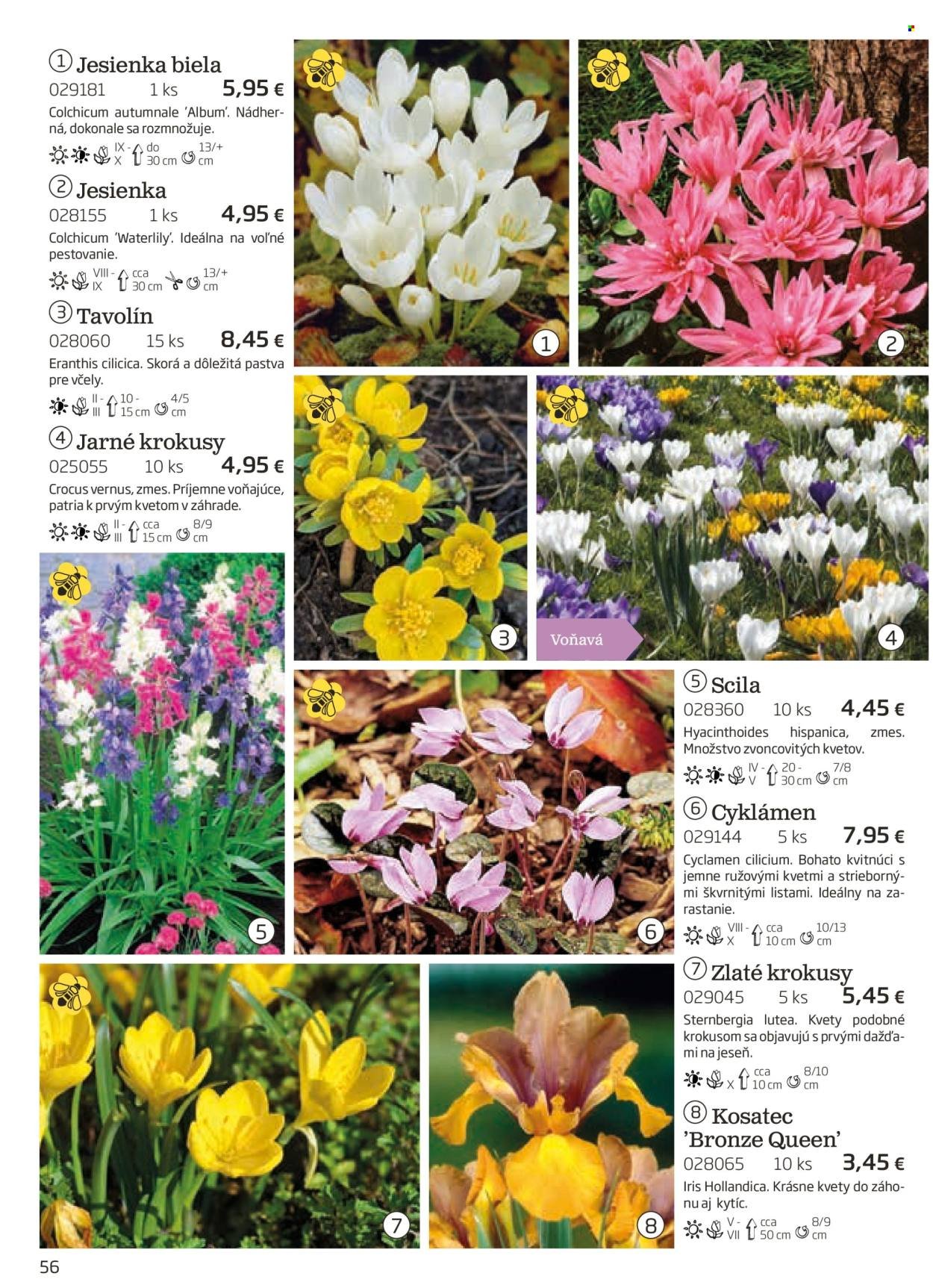 STARKL leták - auguste 2025 (2025-08-03) | 56