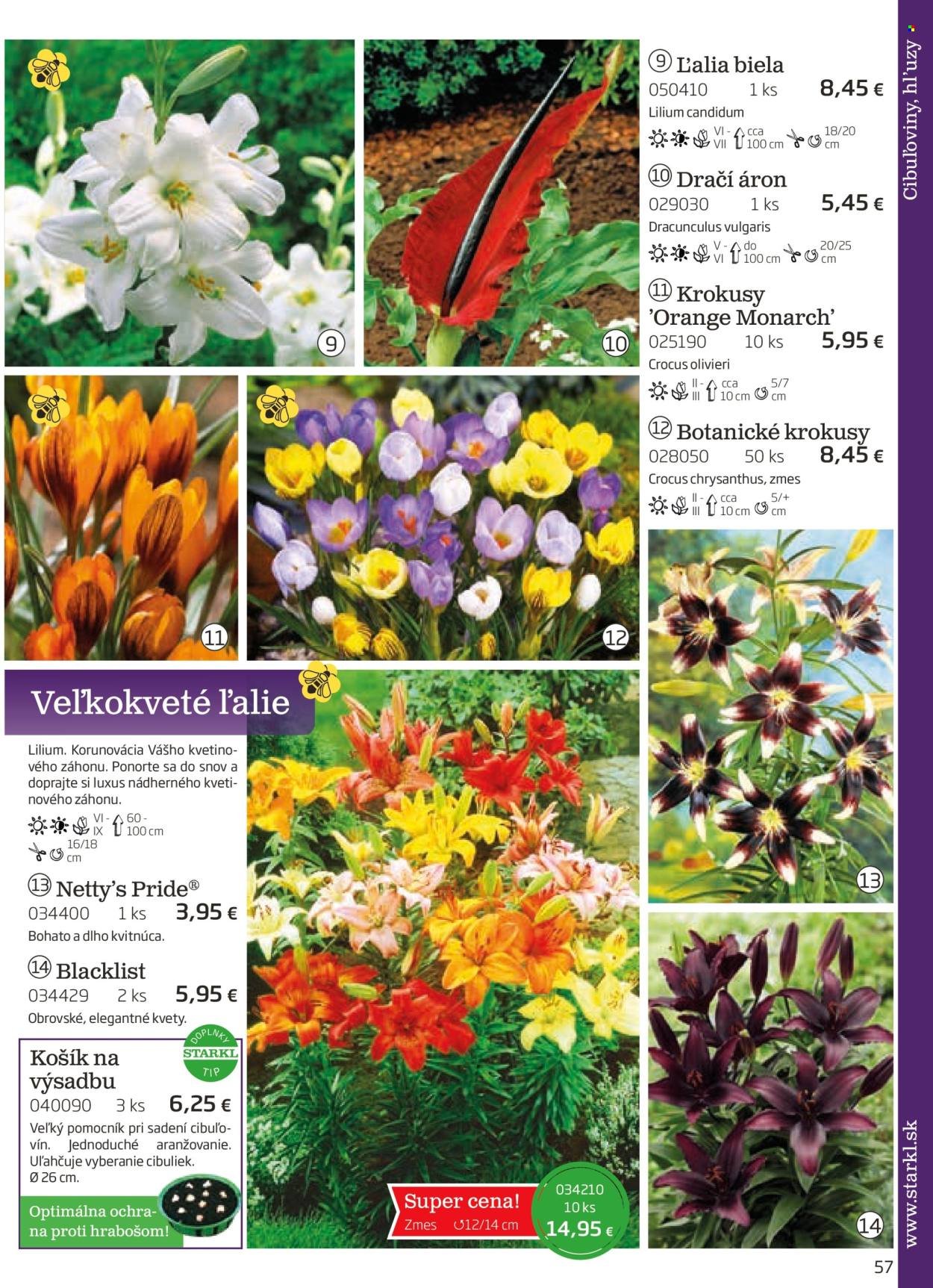 STARKL leták - auguste 2025 (2025-08-03) | 57